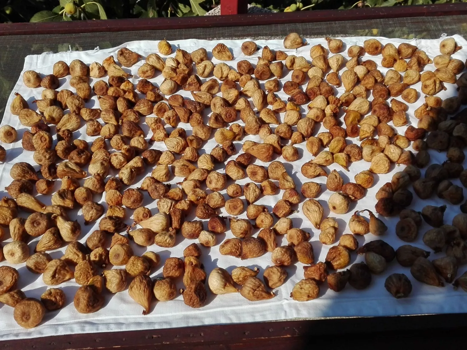 Wohnung mit Balkon und Meerblick-Binnen