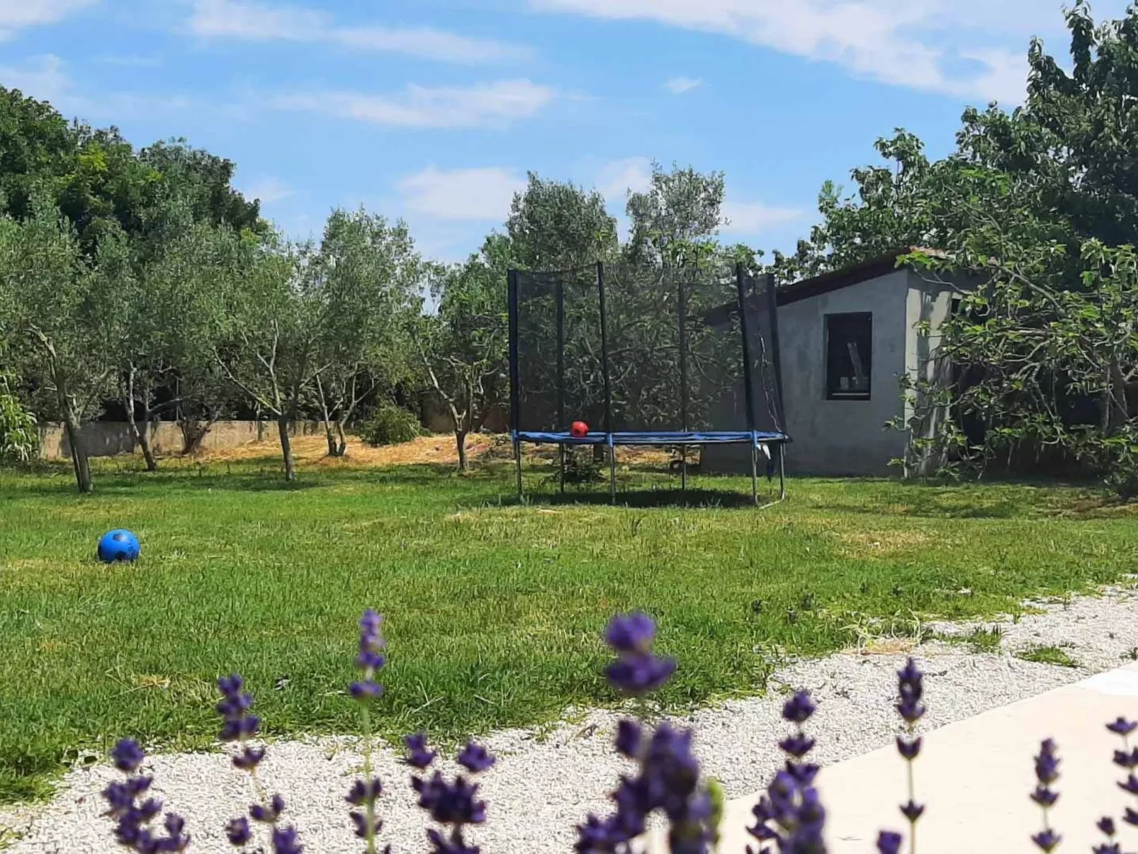 AQUA mit Pool-Binnen