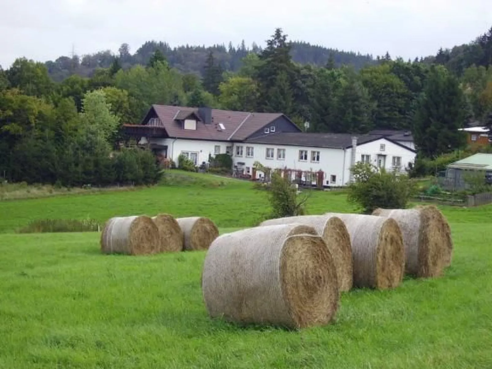 Gemütliche Wohnung in Altenbrak inkl Terrasse-Image-tags.info