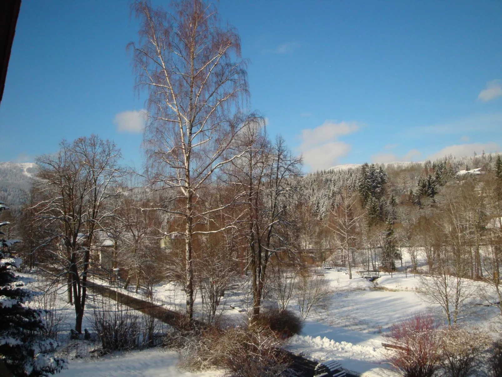 Wiesengrund in Bayerisch Eisenstein-Buiten