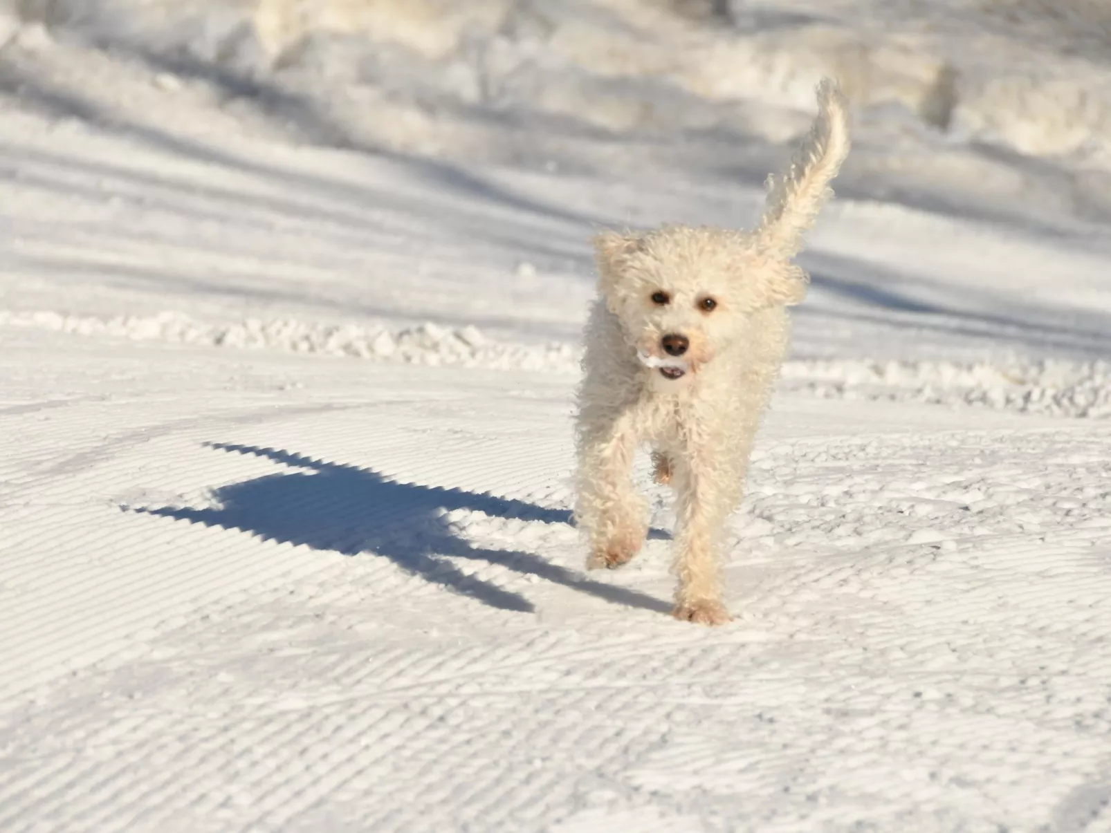 Mit Spielplatz, Garten und Fernsicht-Buiten