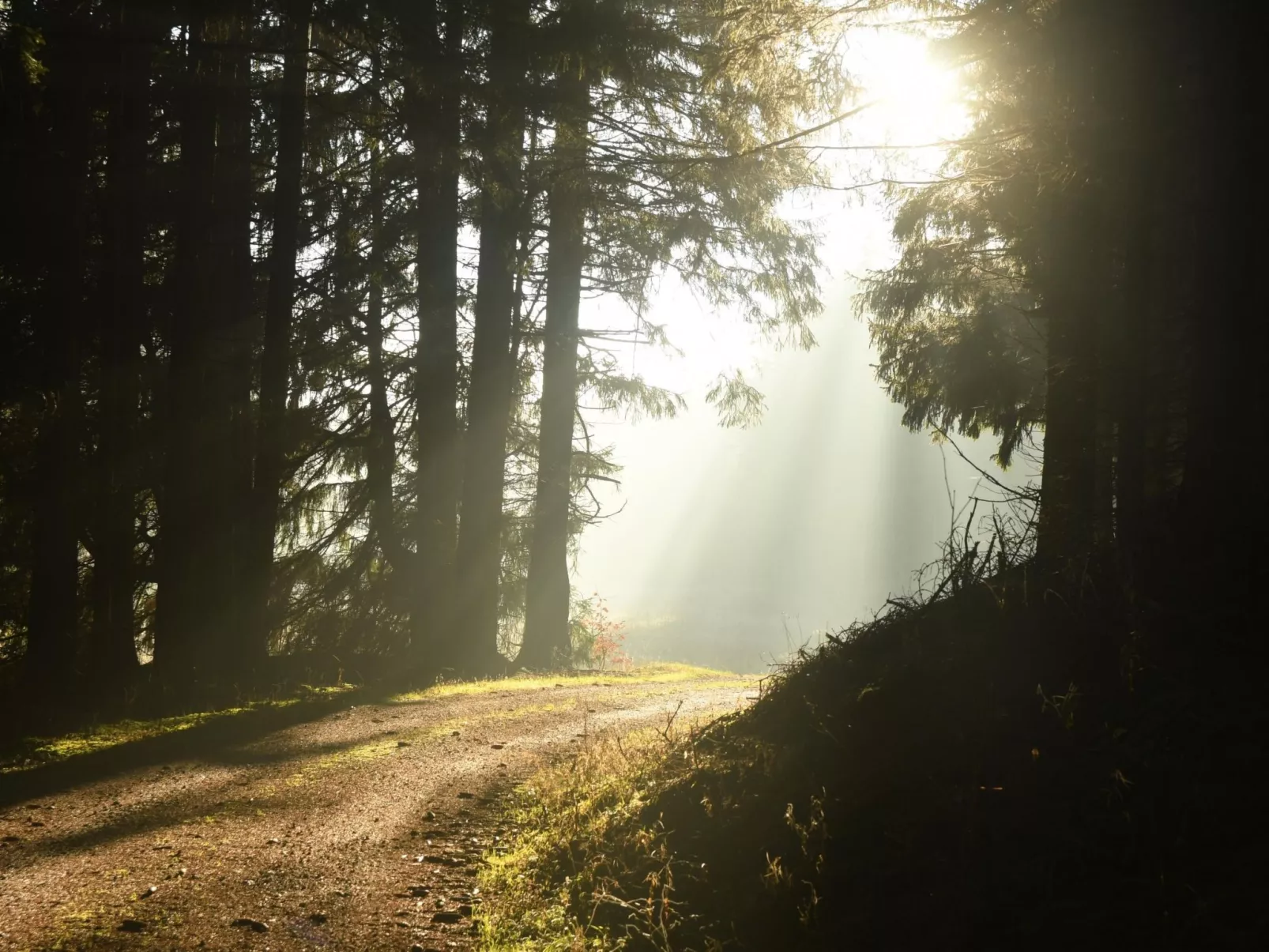 Wohnung in Hohegeiß mit Grill und Garten-Buiten