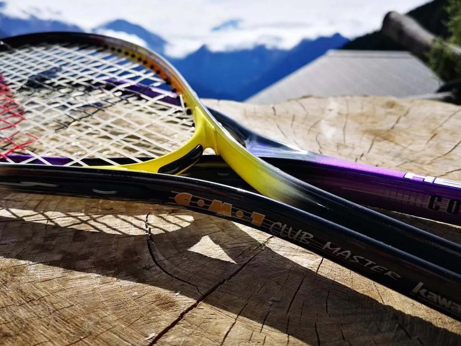 Chalet "Arve"-Image-tags.info