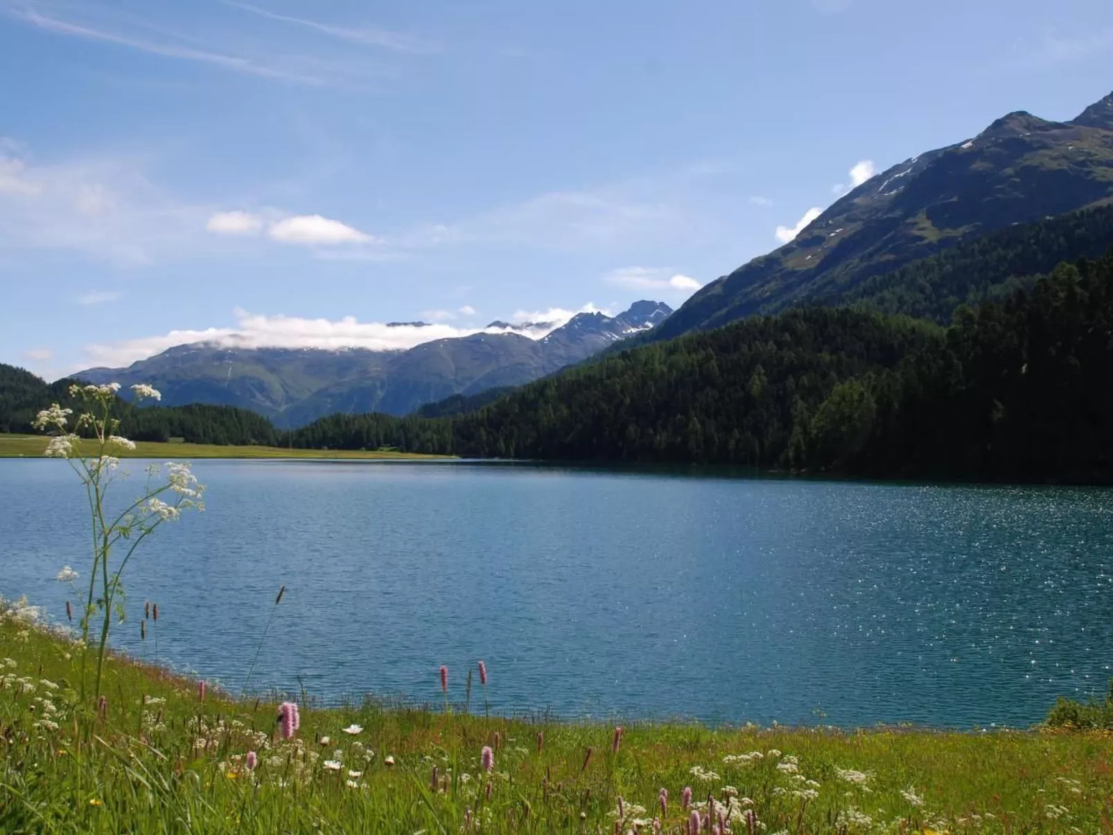 Chesa Arnica A5-Binnen