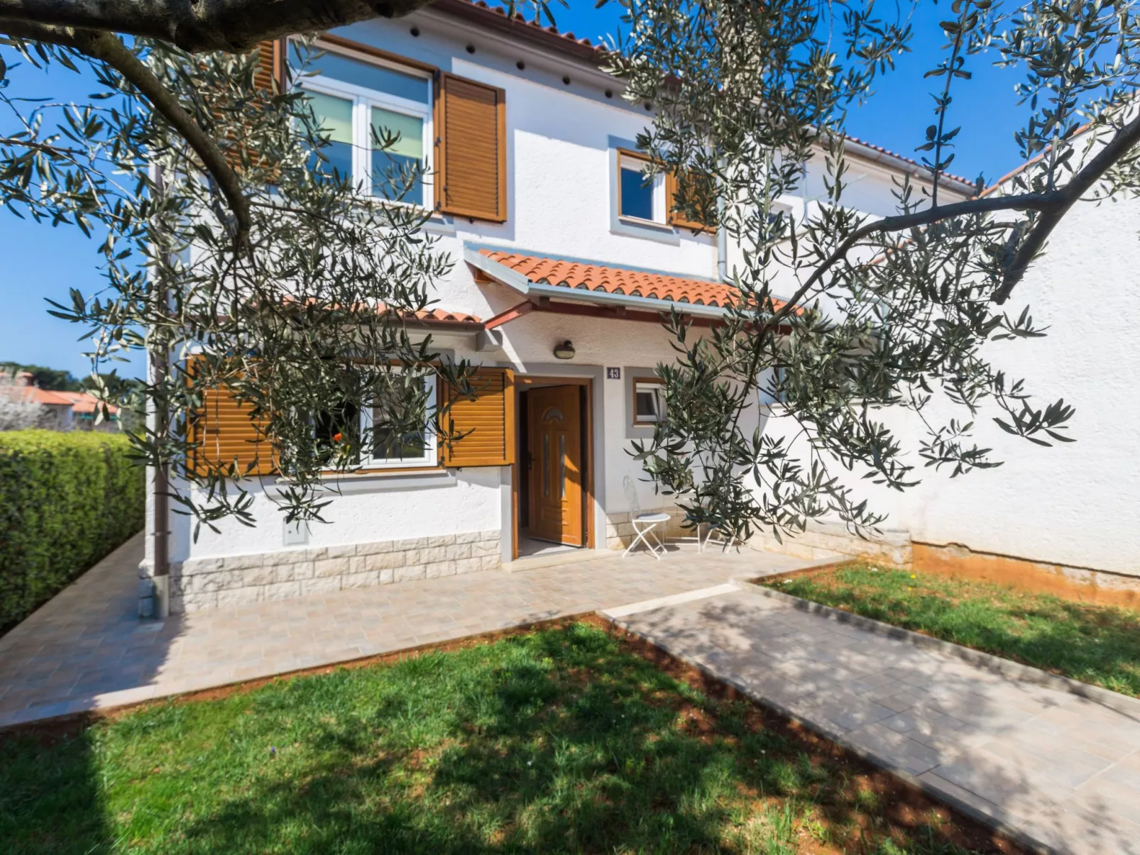 Oliva-Image-tags.info