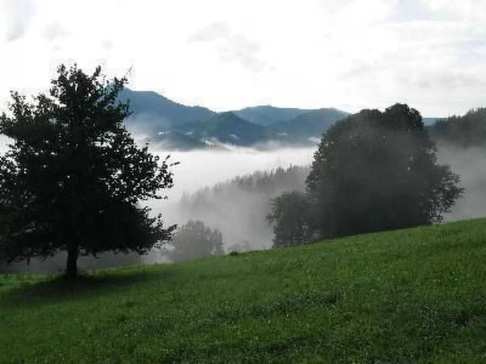 Haus König FEWO-Binnen