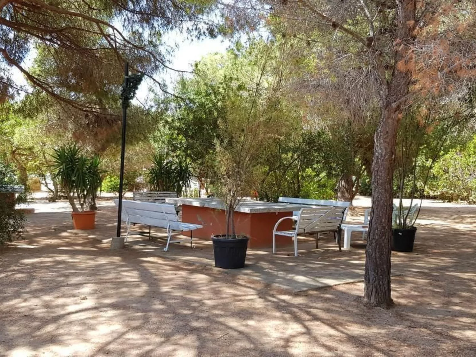 Mare e Pineta-Binnen