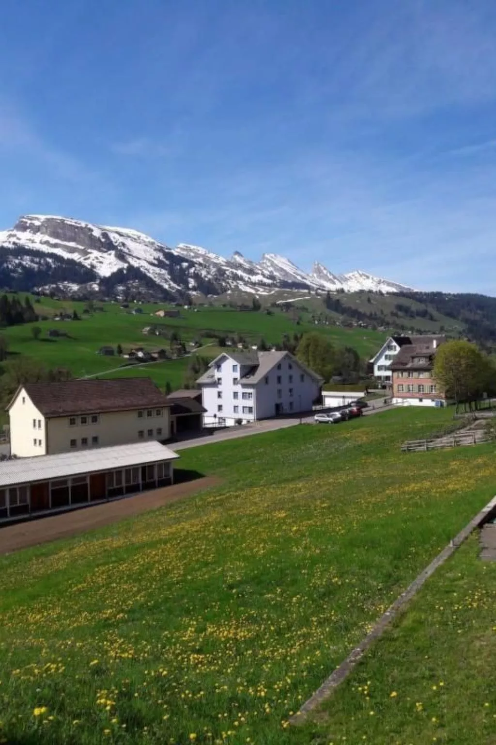 Studio Friedegg-Image-tags.info