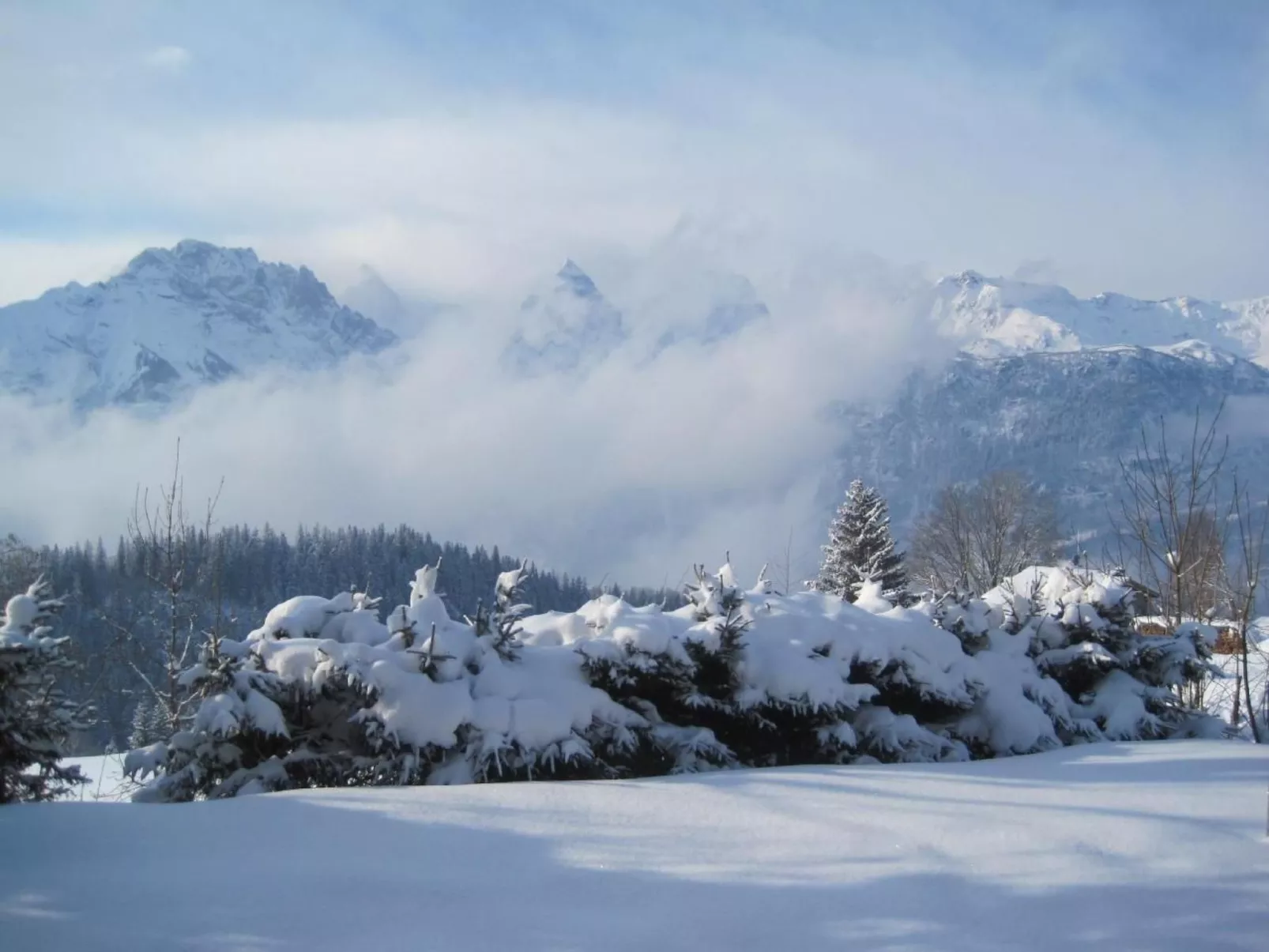 Alpidyll-Image-tags.info