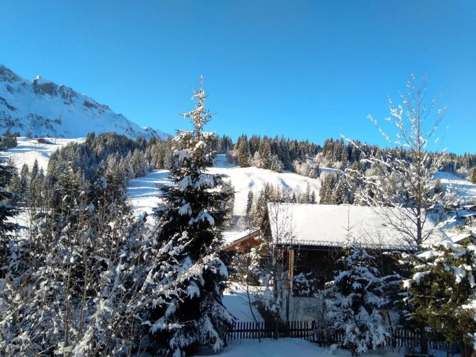 Hasegässli 12-Buiten