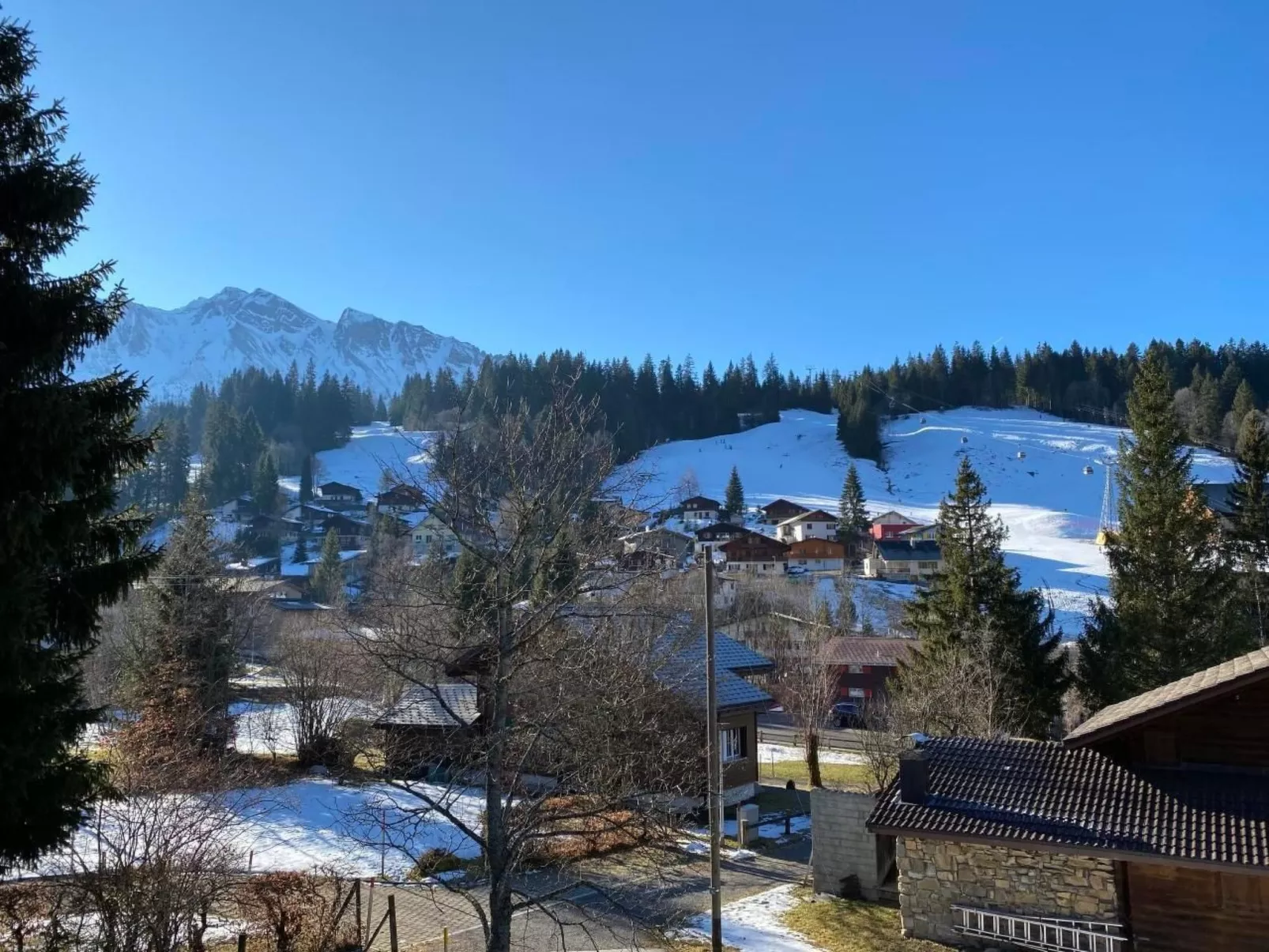 Chalet Bacchus (OG)-Image-tags.info