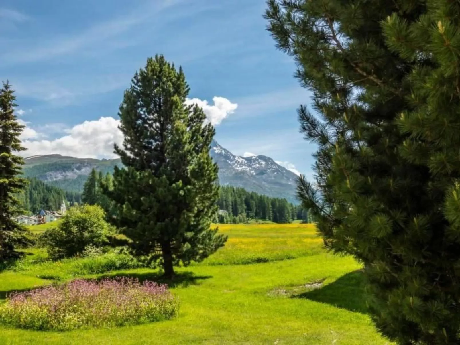 Chesa Arnica 2 - ÖV inklusive-Image-tags.info