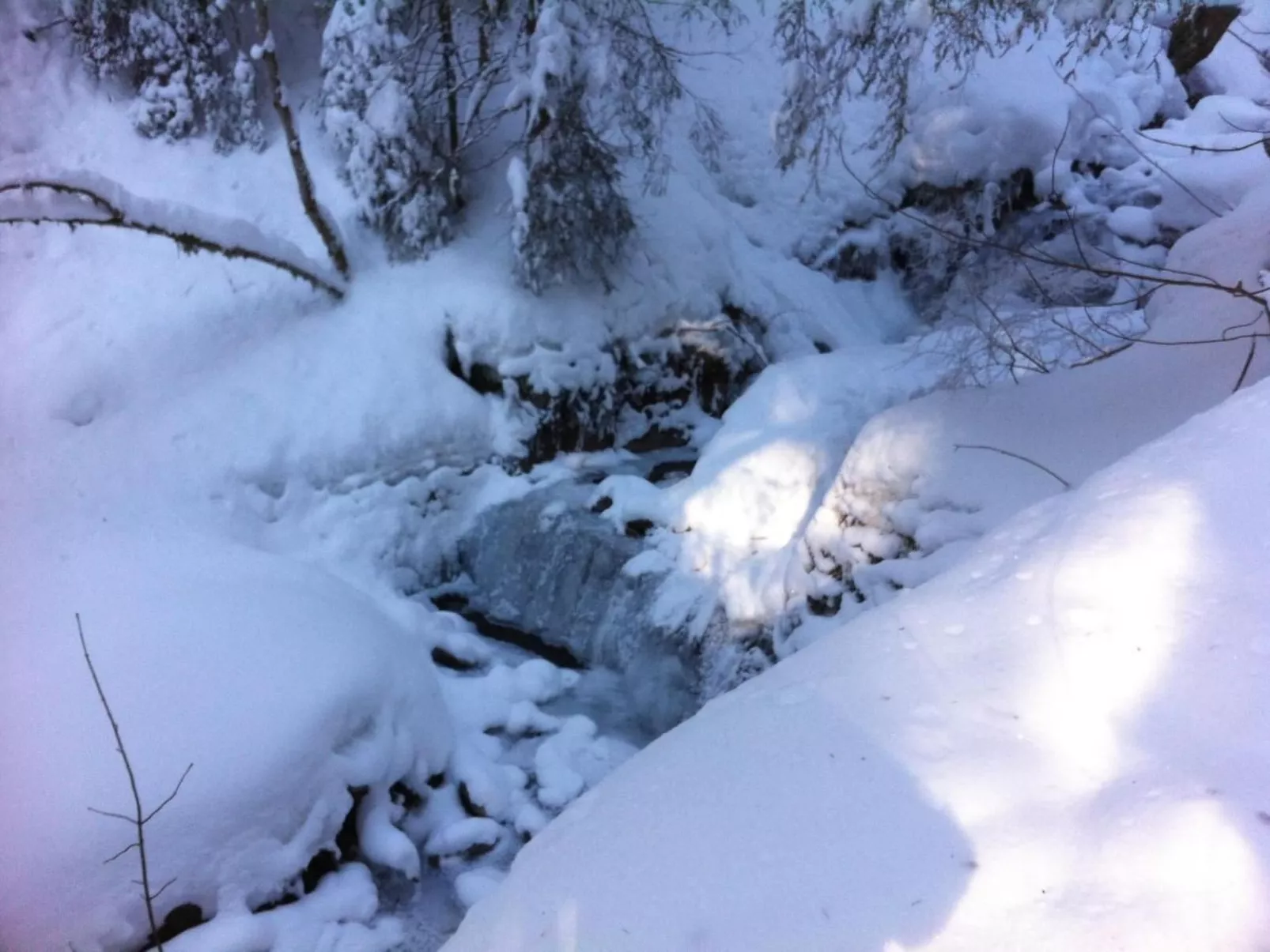 Chalet Birkli-Buiten