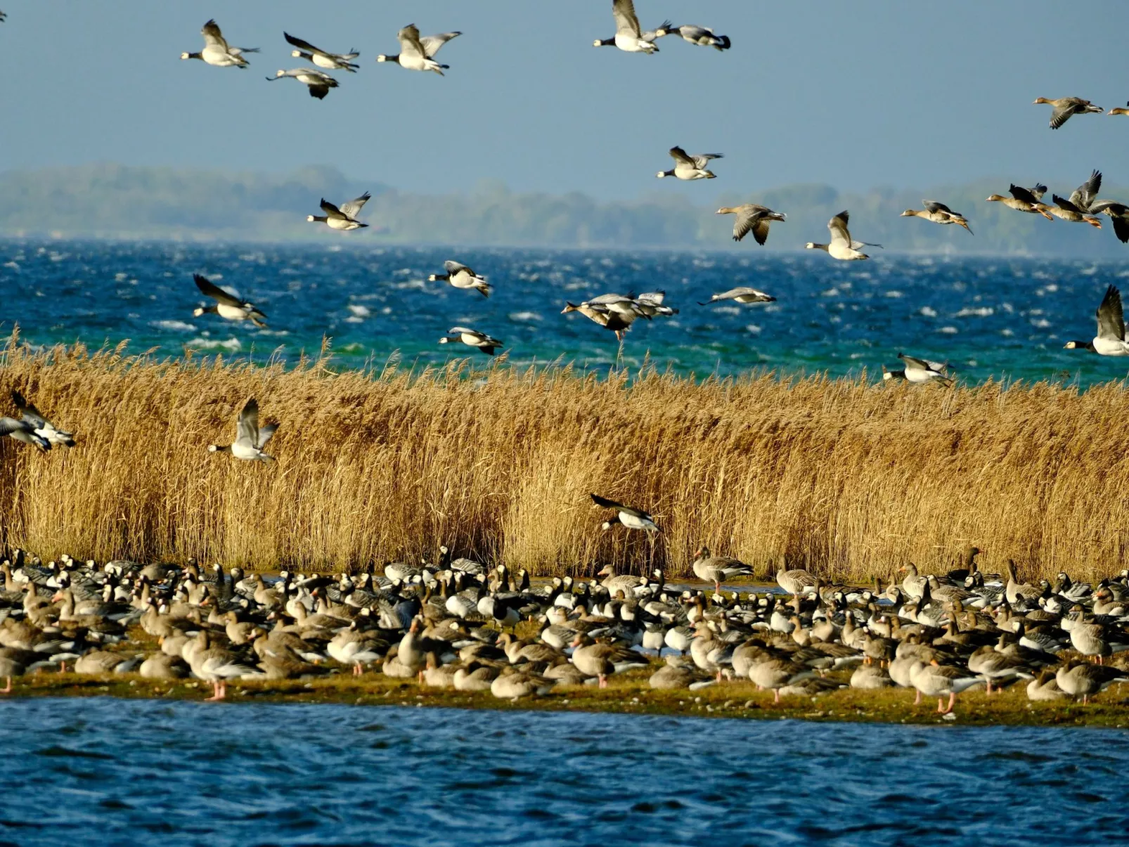 Das Meerchenhaus-Buiten