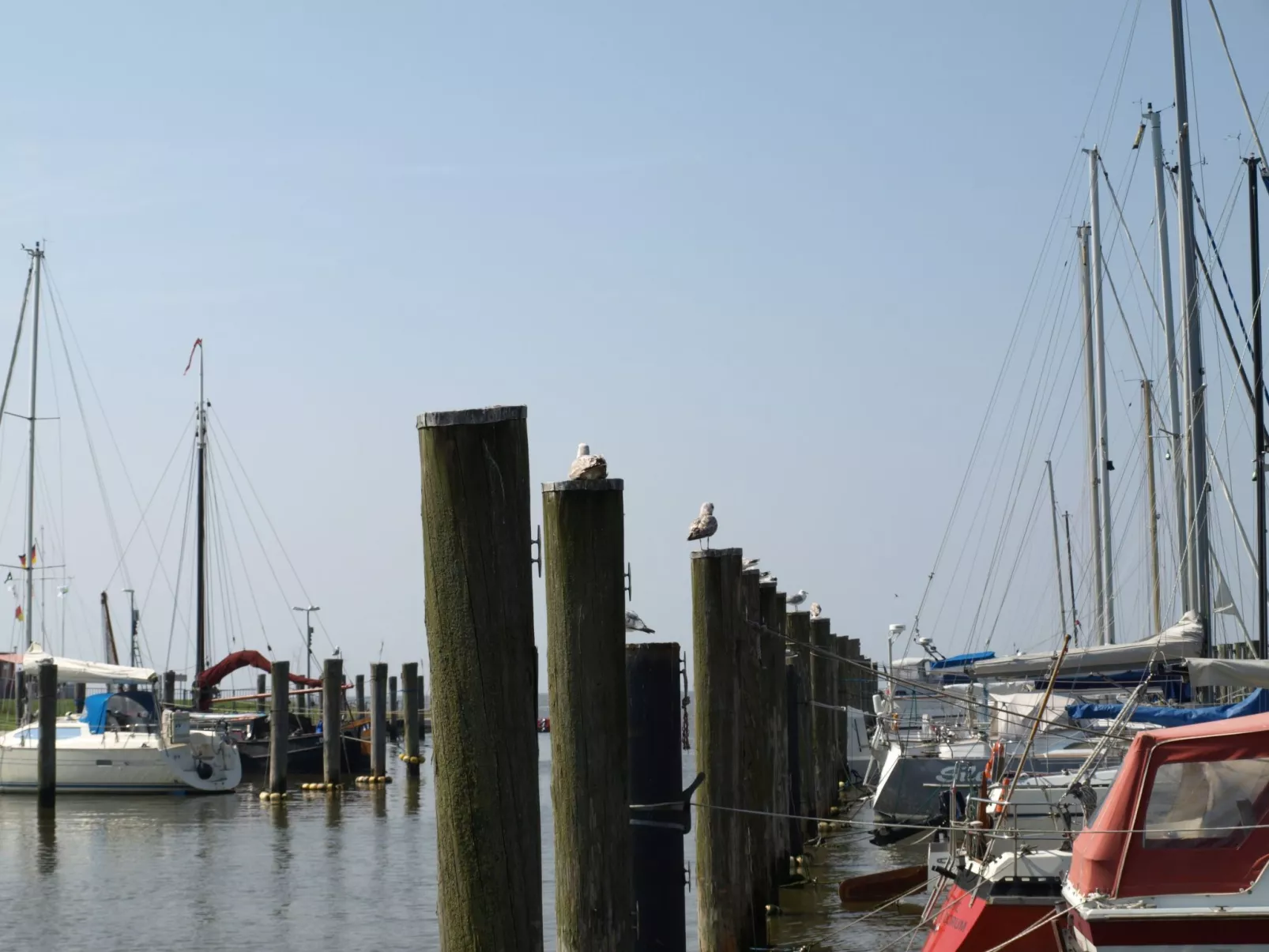 Mit Terrasse, Grill und Garten-Binnen