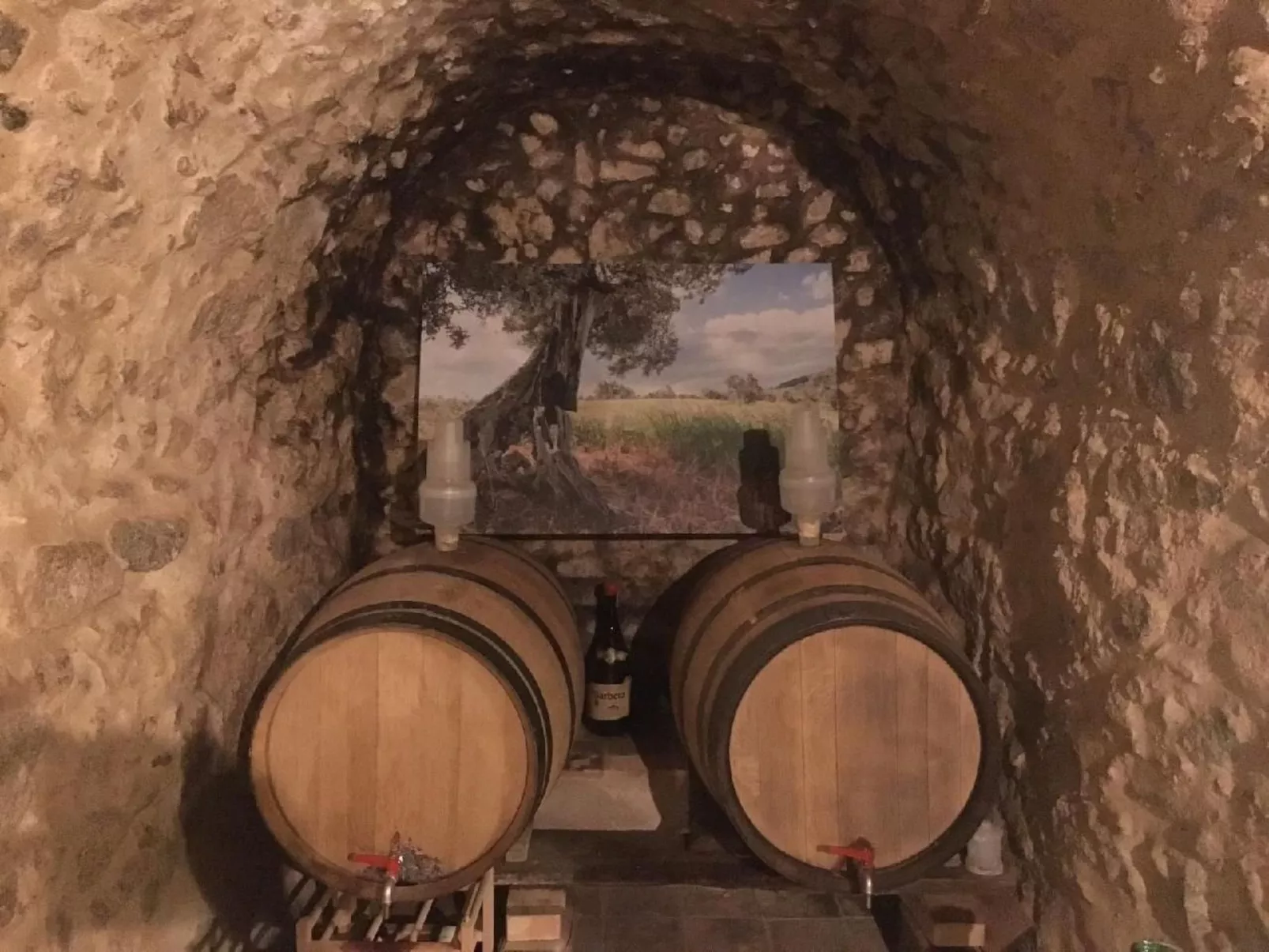 Großes Studio mit Terrasse mit Meerblick-Buiten