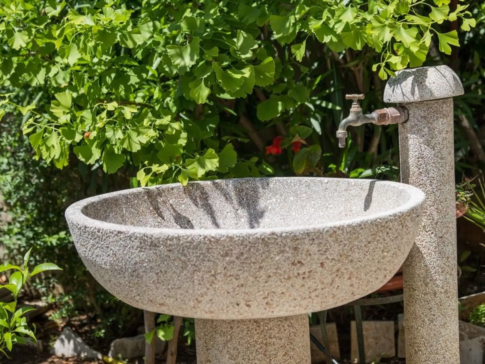 Villa Magnolia - Apartment Gardenia-Binnen