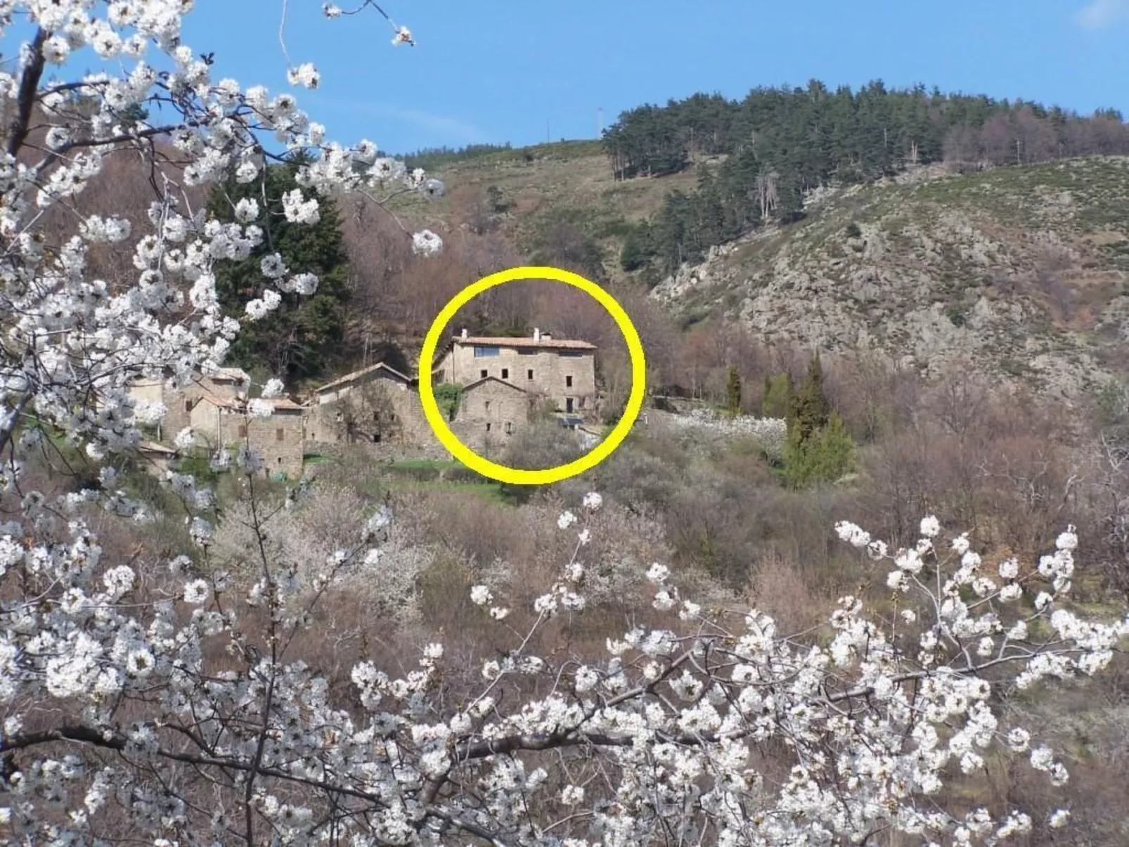 Gîte de Chapelèche Les Genêts-Buiten