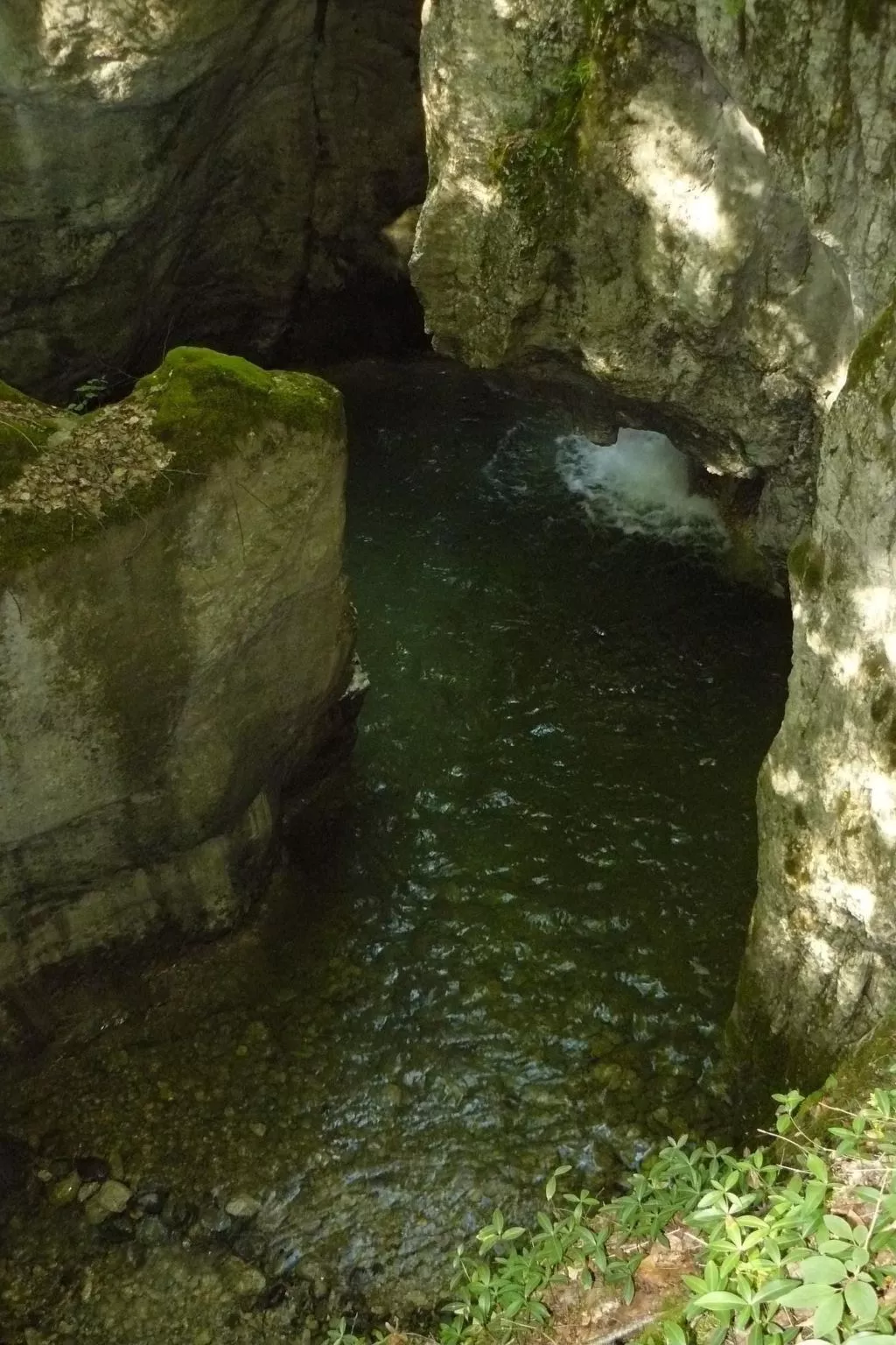 "Au Crêt du Bois" (Auf dem Wald)-Buiten