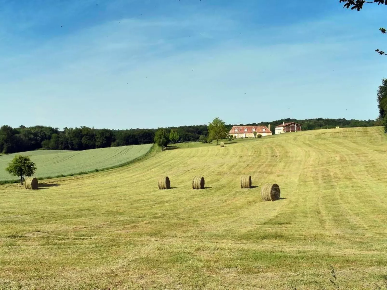 Swimmingpool, ruhig auf dem Land für zwei-Buiten