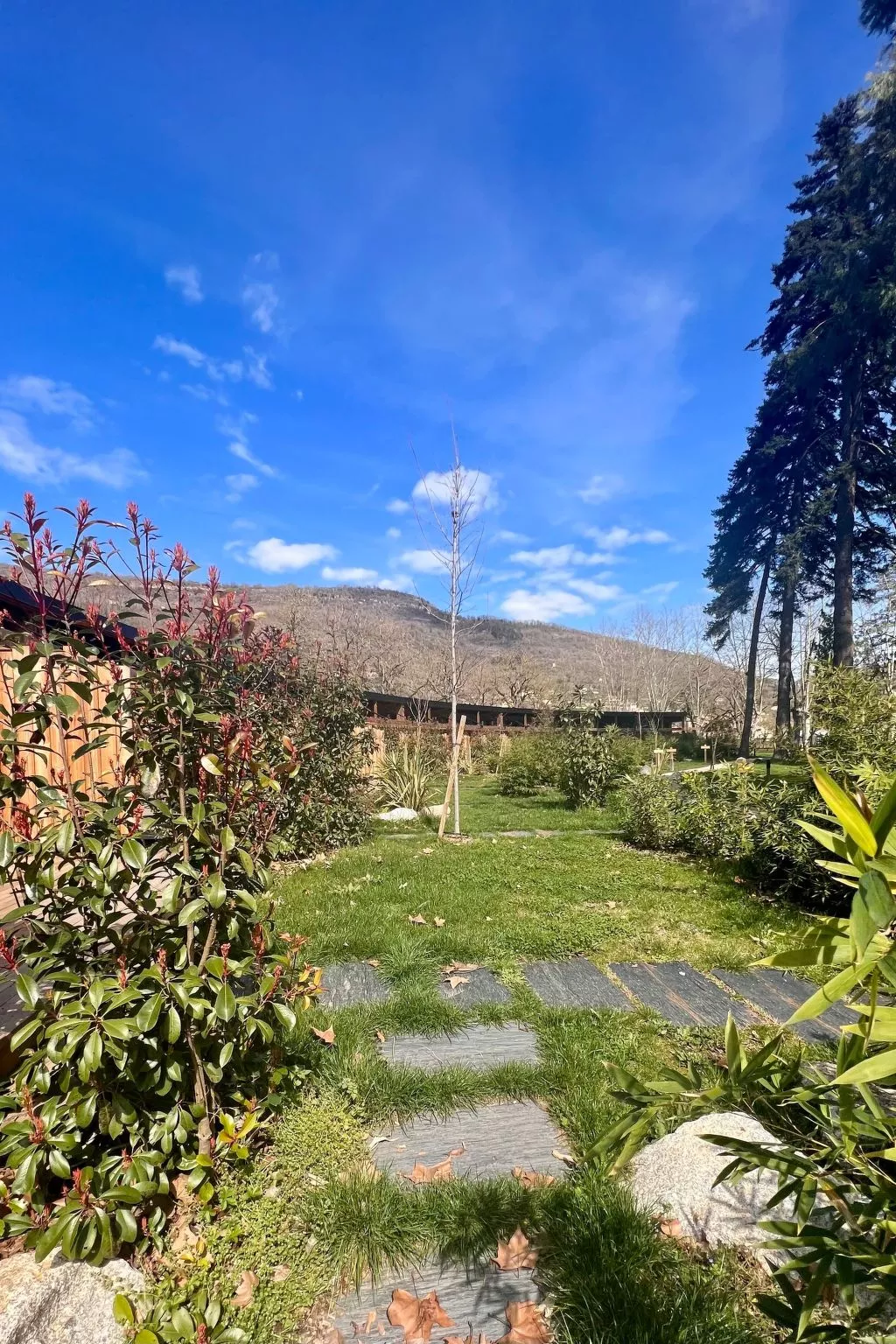 Ecolodge 4 pers mit Spa-Buiten