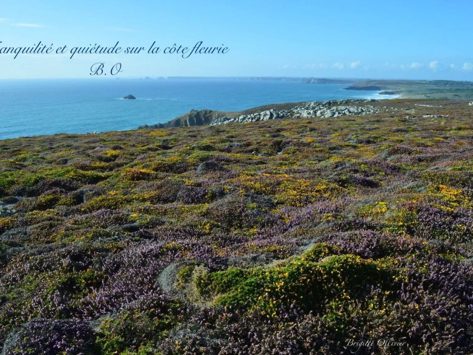 Ferienhaus-Image-tags.info