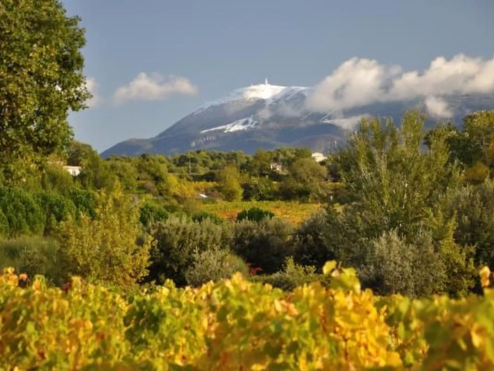 "Haus der Olivenbäume"-Buiten