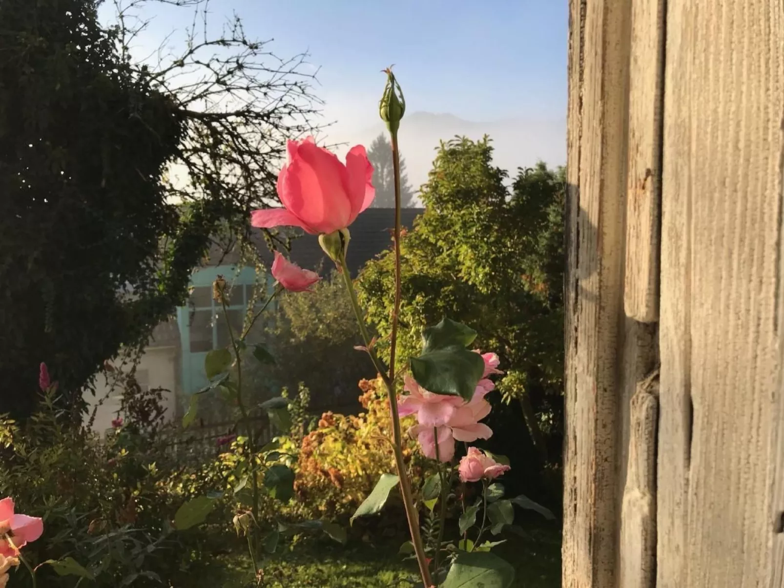 Altes Schulhaus-Buiten