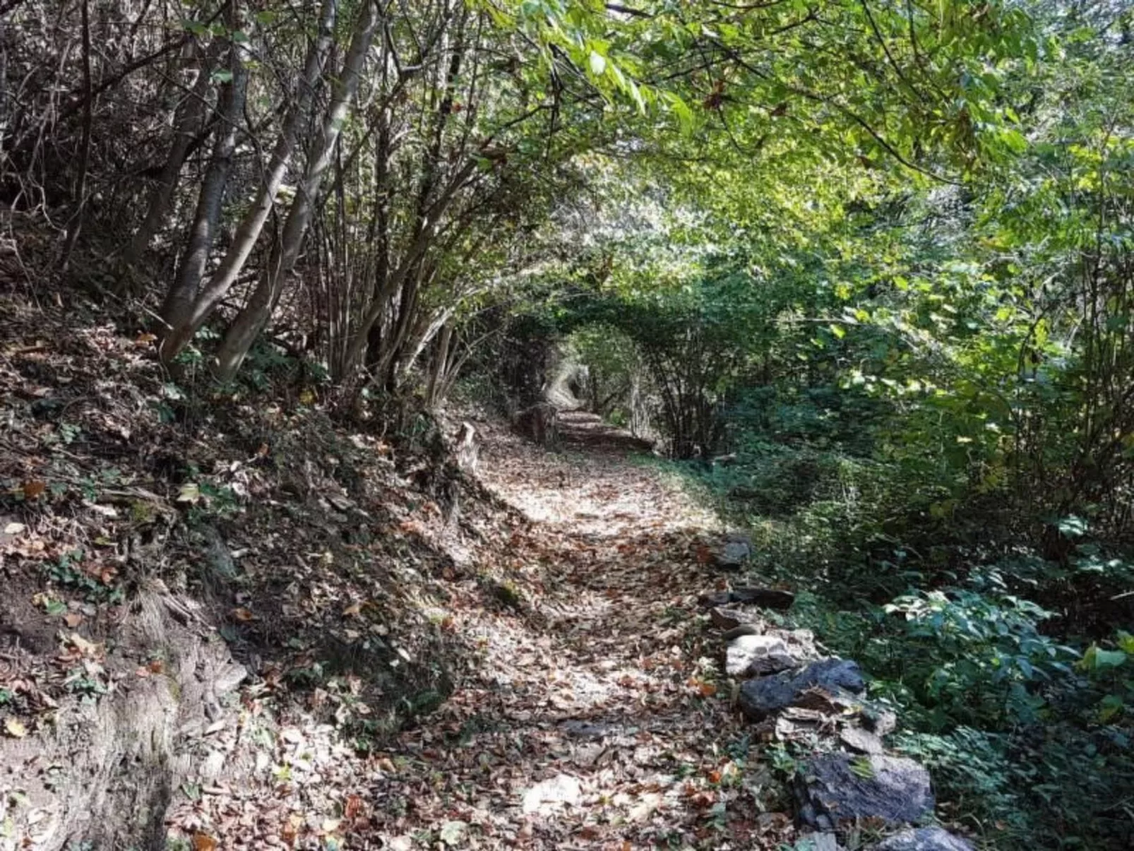 Casa Geissenstall-Buiten