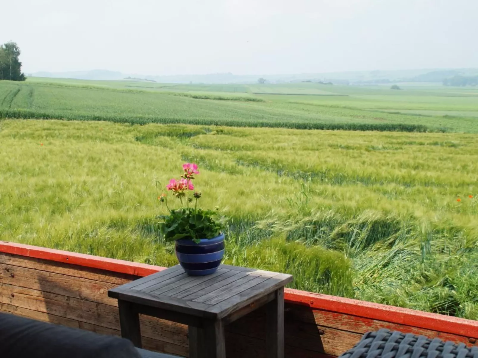 Wellness-Chalet-Binnen