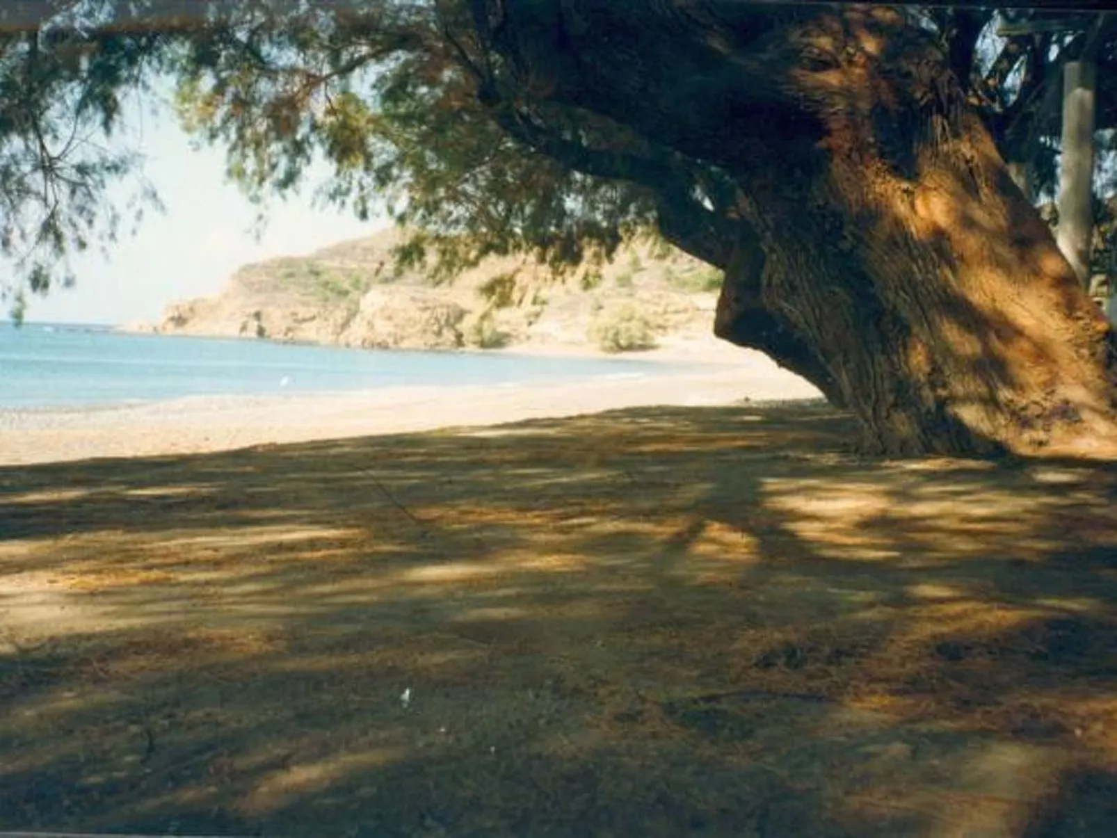Spiti Limnos, idyllisch gelegen im Orangenhain-Binnen