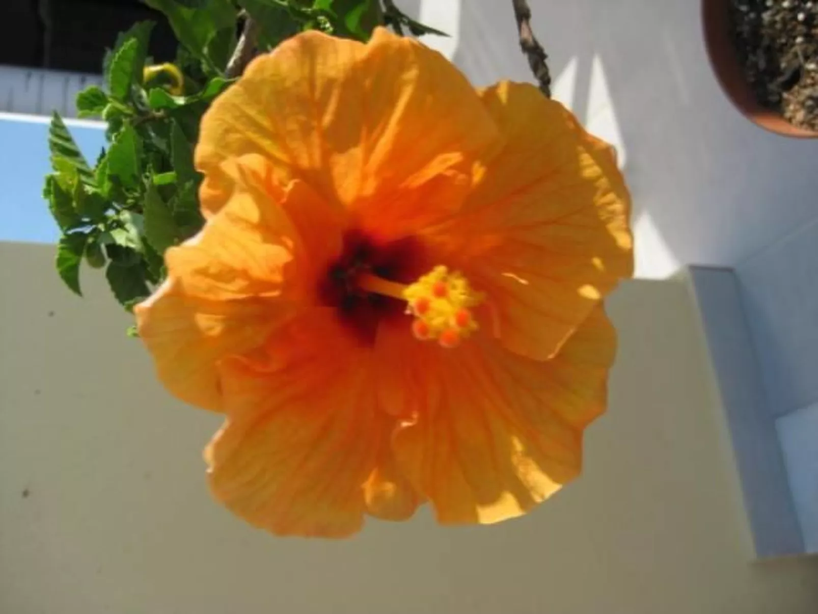 Villa Posseidon-Buiten