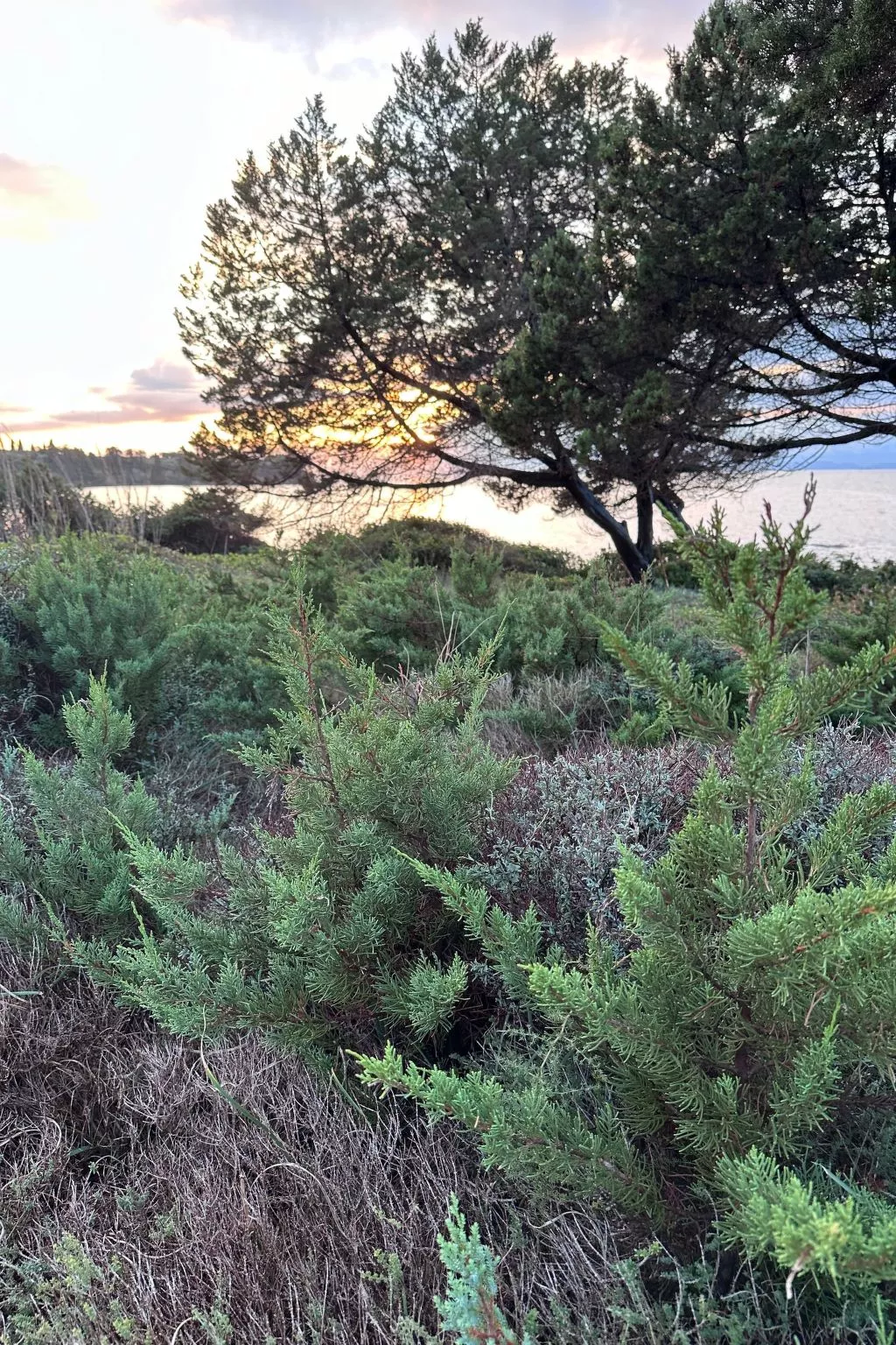 Familienrückzug mit Meerblick in den Genari Apartments-Image-tags.info