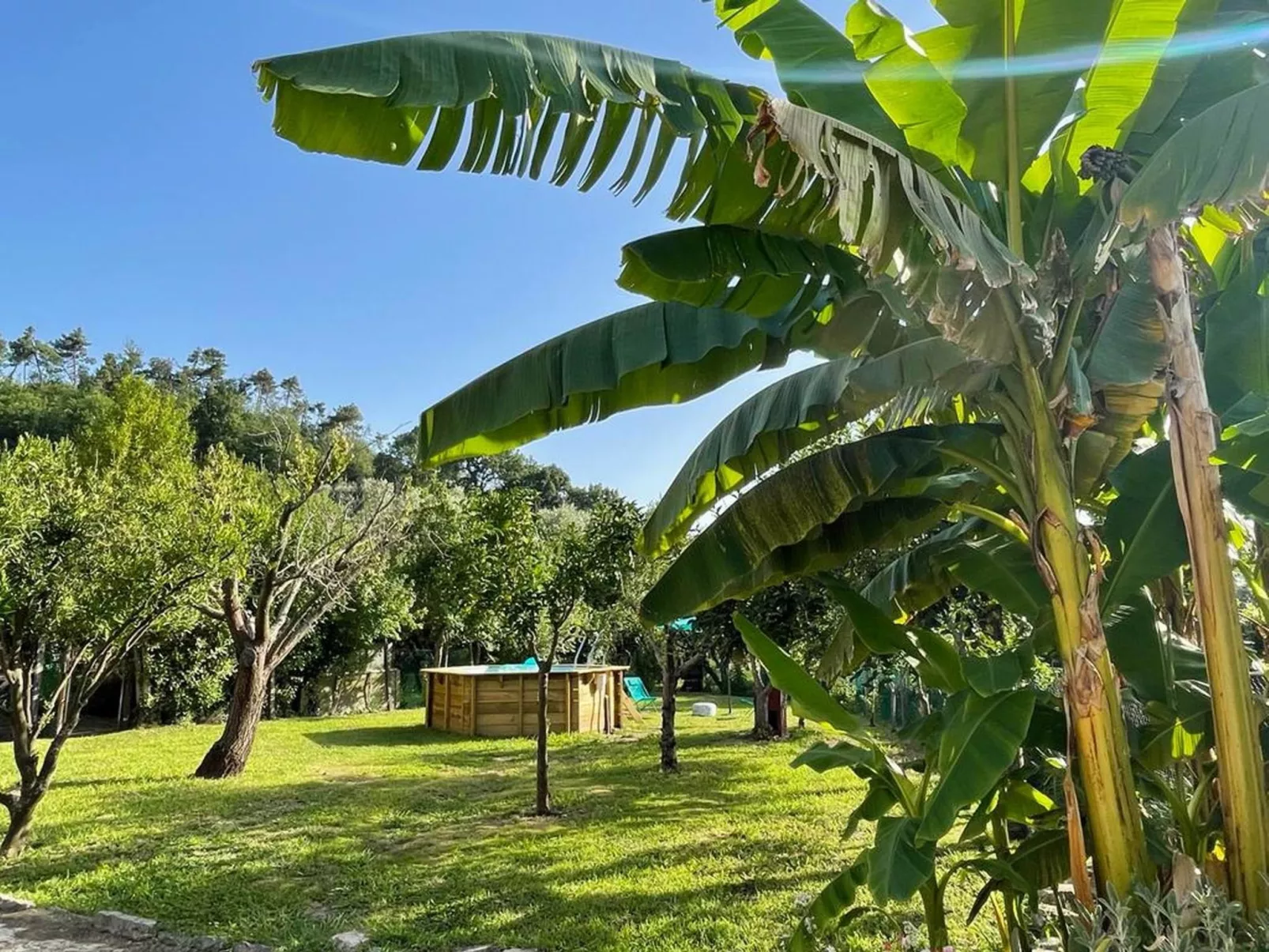 'Aia Sole' mit eigenem Pool-Buiten