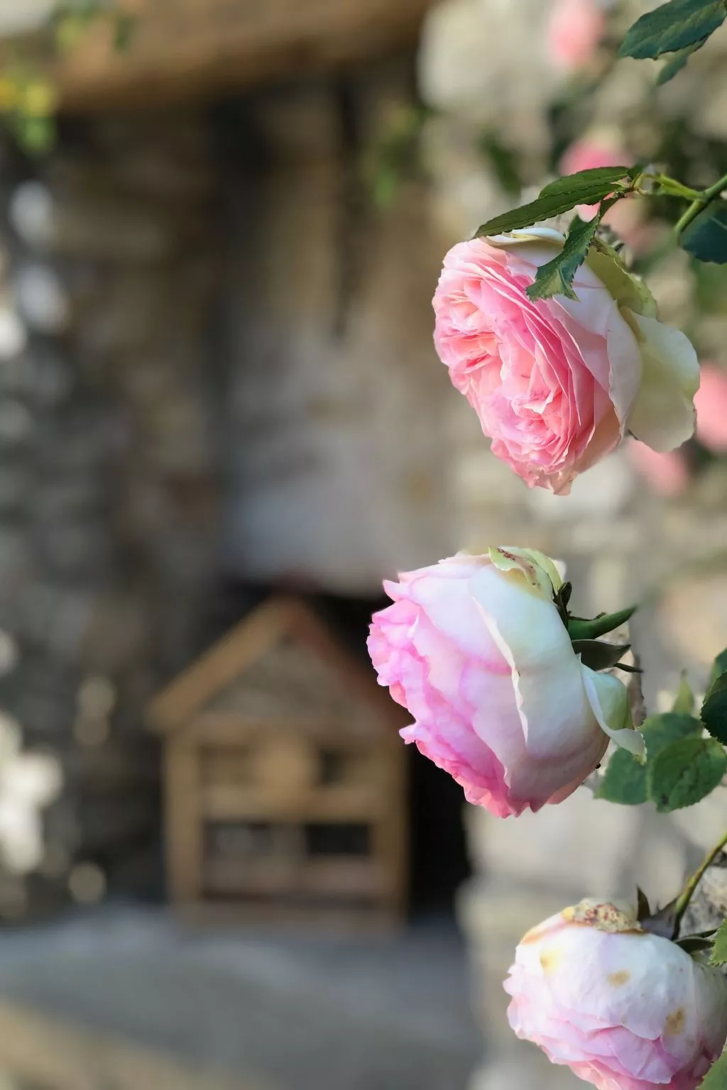 Haus mit Charakter in der Nähe von Uzès und den Cevennen-Buiten