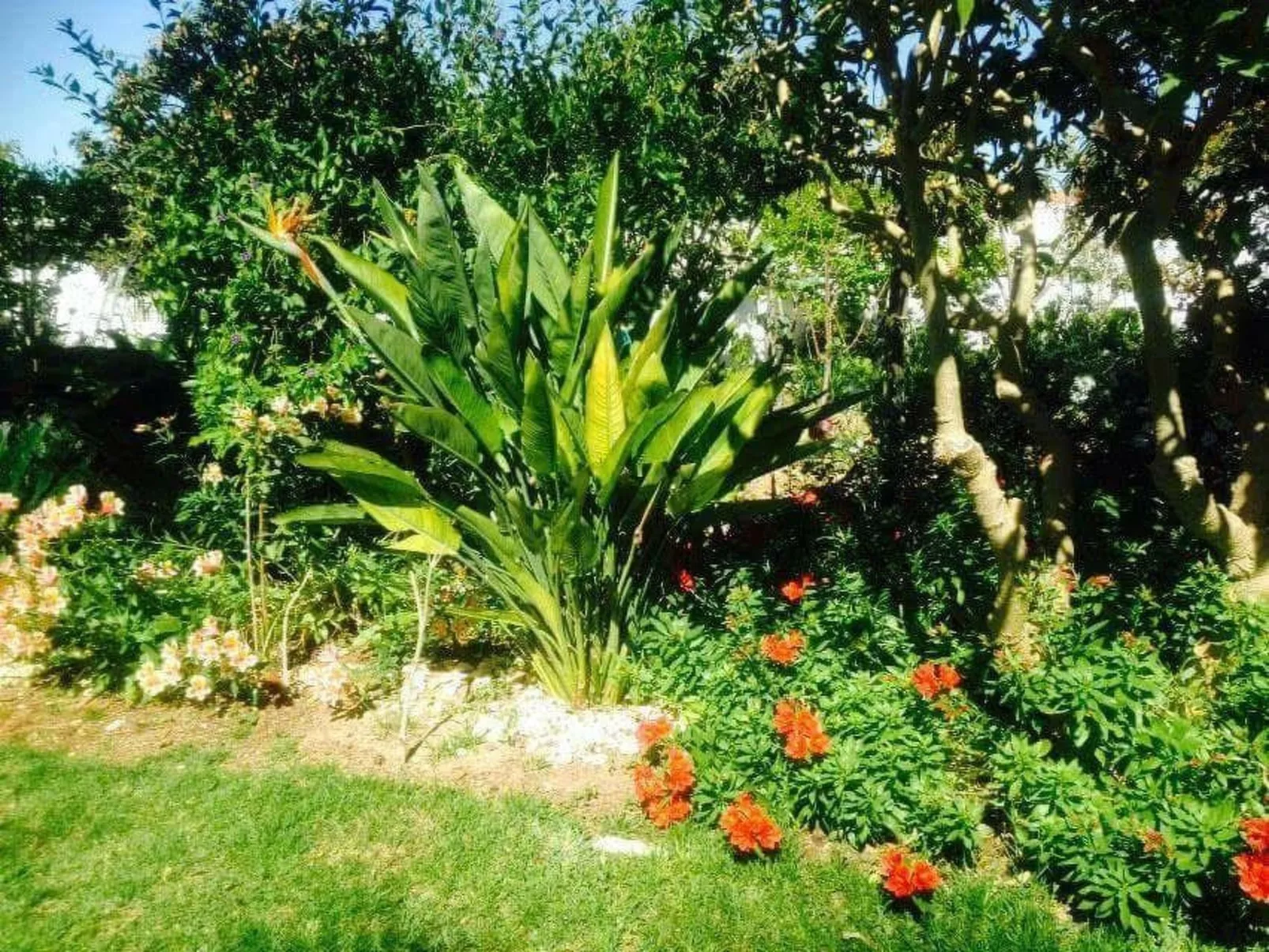 Für 4 Personen in Algoz, Algarve-Buiten