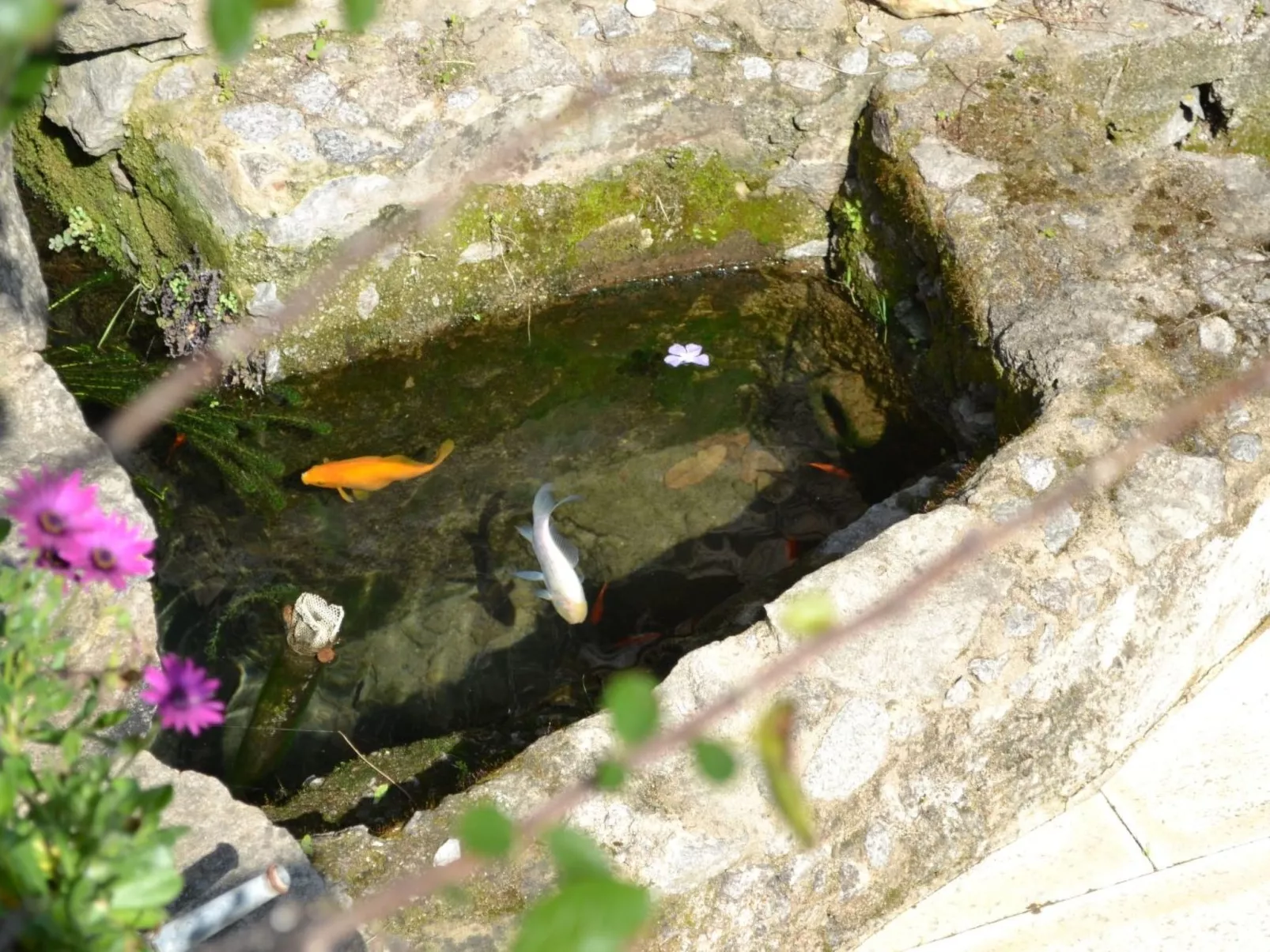 Luxuriöse Privatvilla mit Infinity-Pool-Image-tags.info