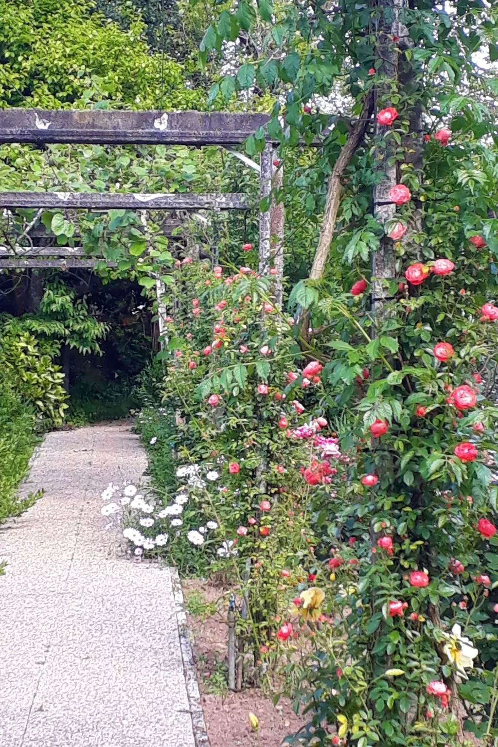 Quinta D'Avó Amélia, wunderschönes Landhaus zwischen den Bergen und dem Meer-Buiten
