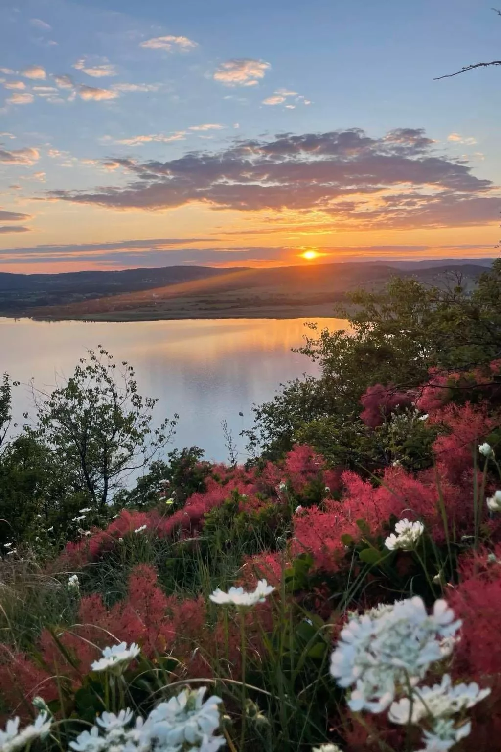 Ferienwohnung-Buiten