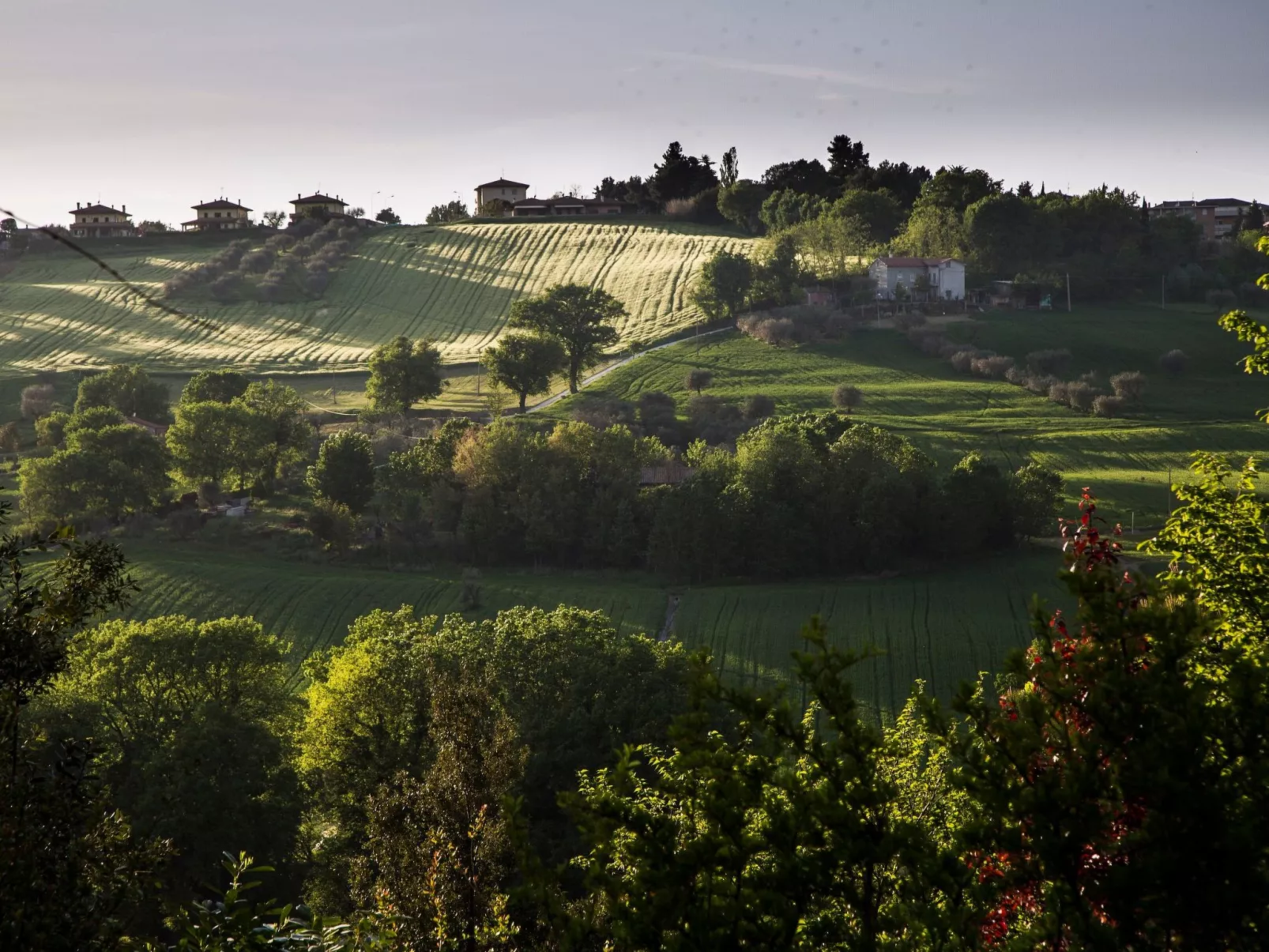 "Haustierfreundliches 'Cottage Glicini' mit Pool und Aussicht-Image-tags.info