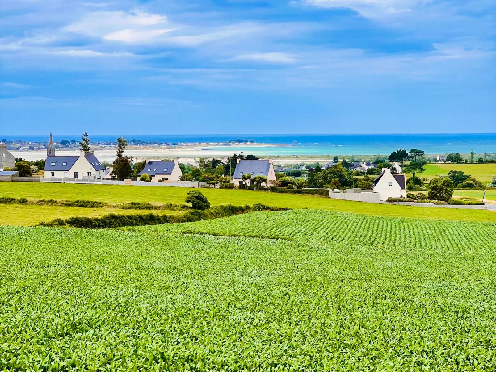 Villa Bellevue-Buiten