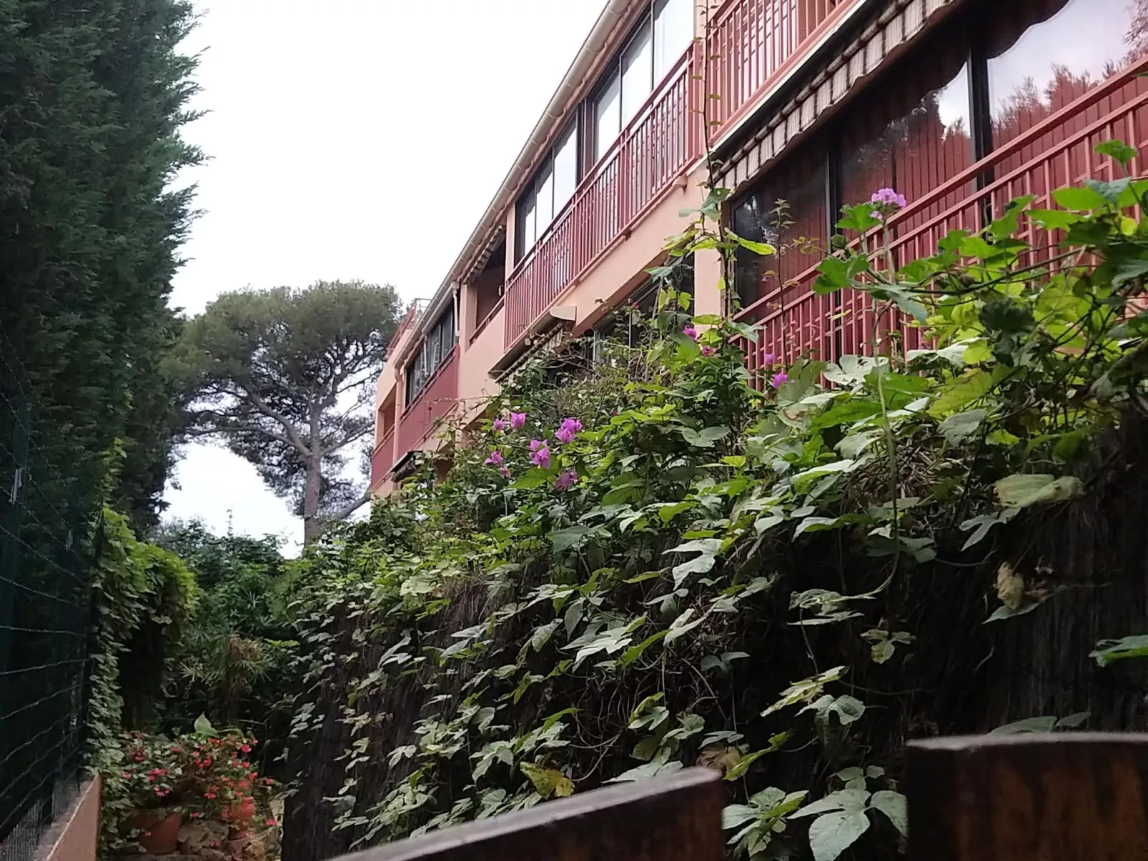 T2climatisé au calme 2 étoiles-Image-tags.info