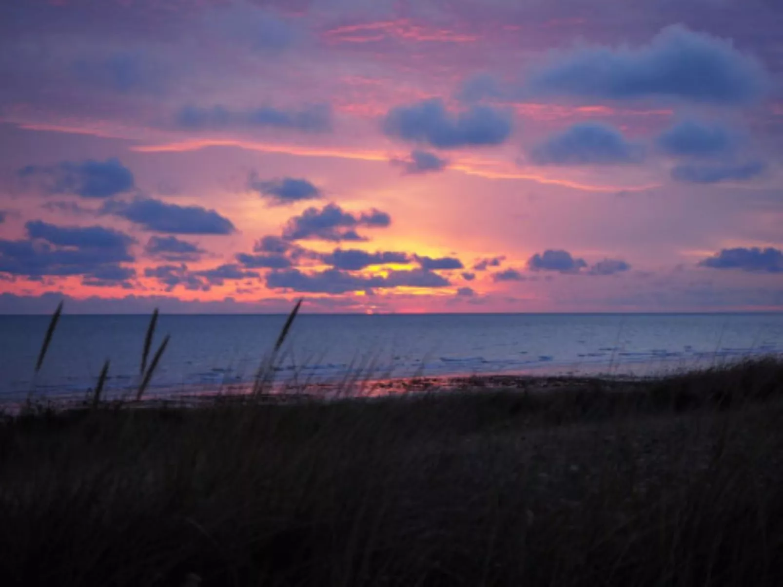 Le Bois aux Ecureuils (Eichhörnchenwald)-Binnen