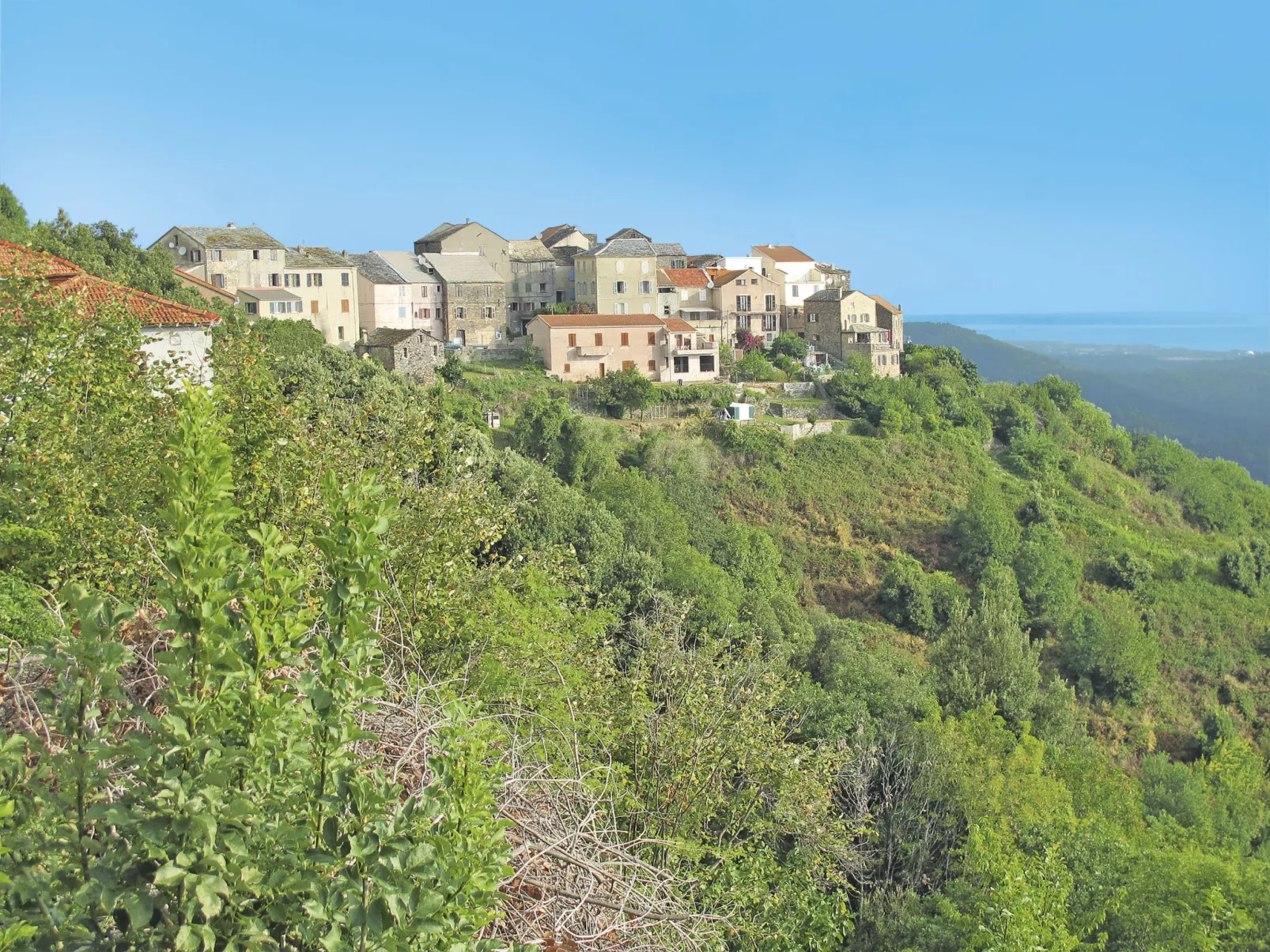 Weingut Punta della guardia zwischen Meer und Gebirge-Omgeving