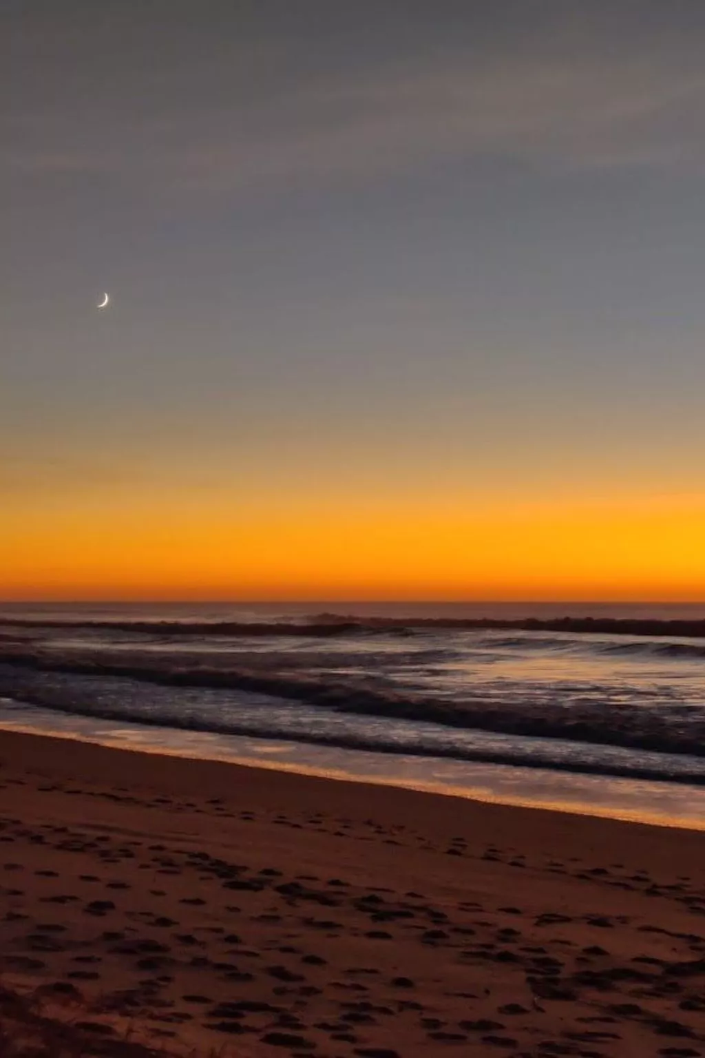 Villa Cocoon Contis-plage 1 chambre-Buiten