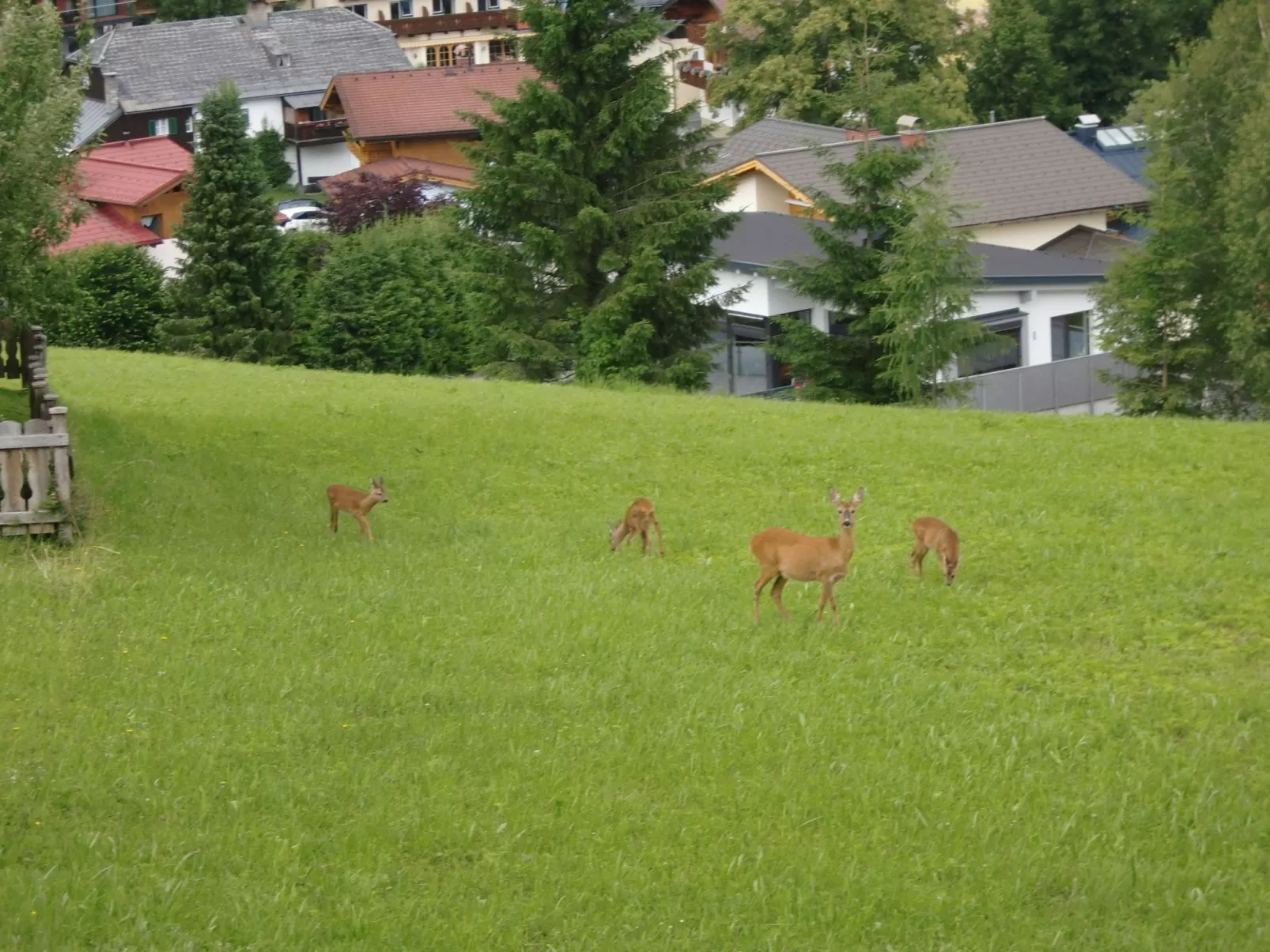 Haus Dreier-Image-tags.info