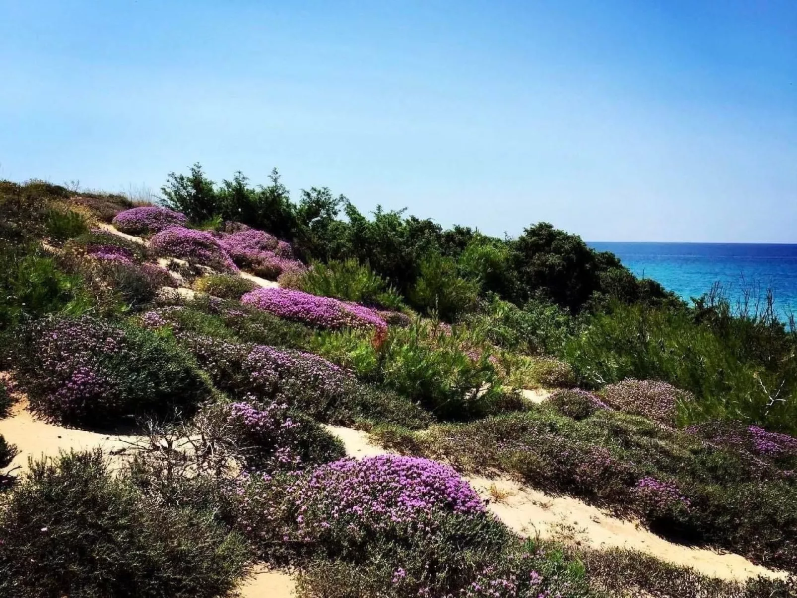 Villa mit privatem Pool-Image-tags.info