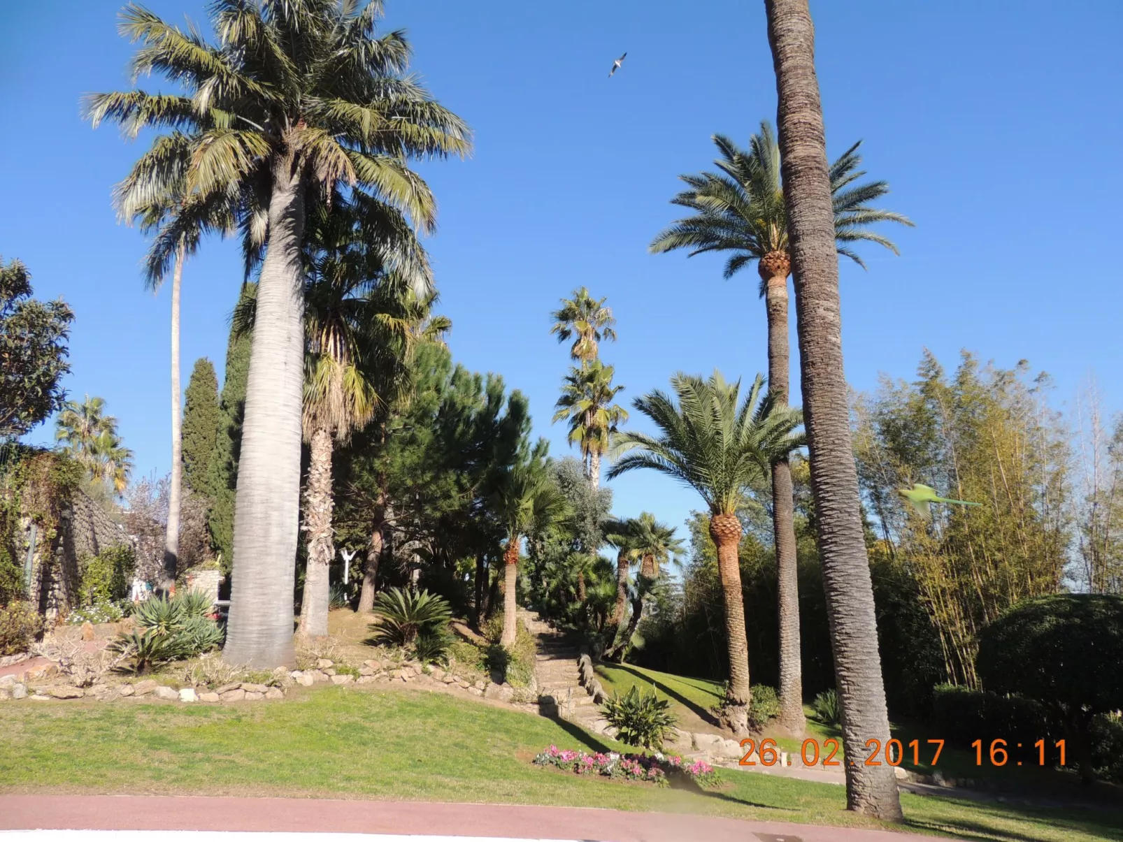 Studio Vue mer standing proche Cannes-Buiten