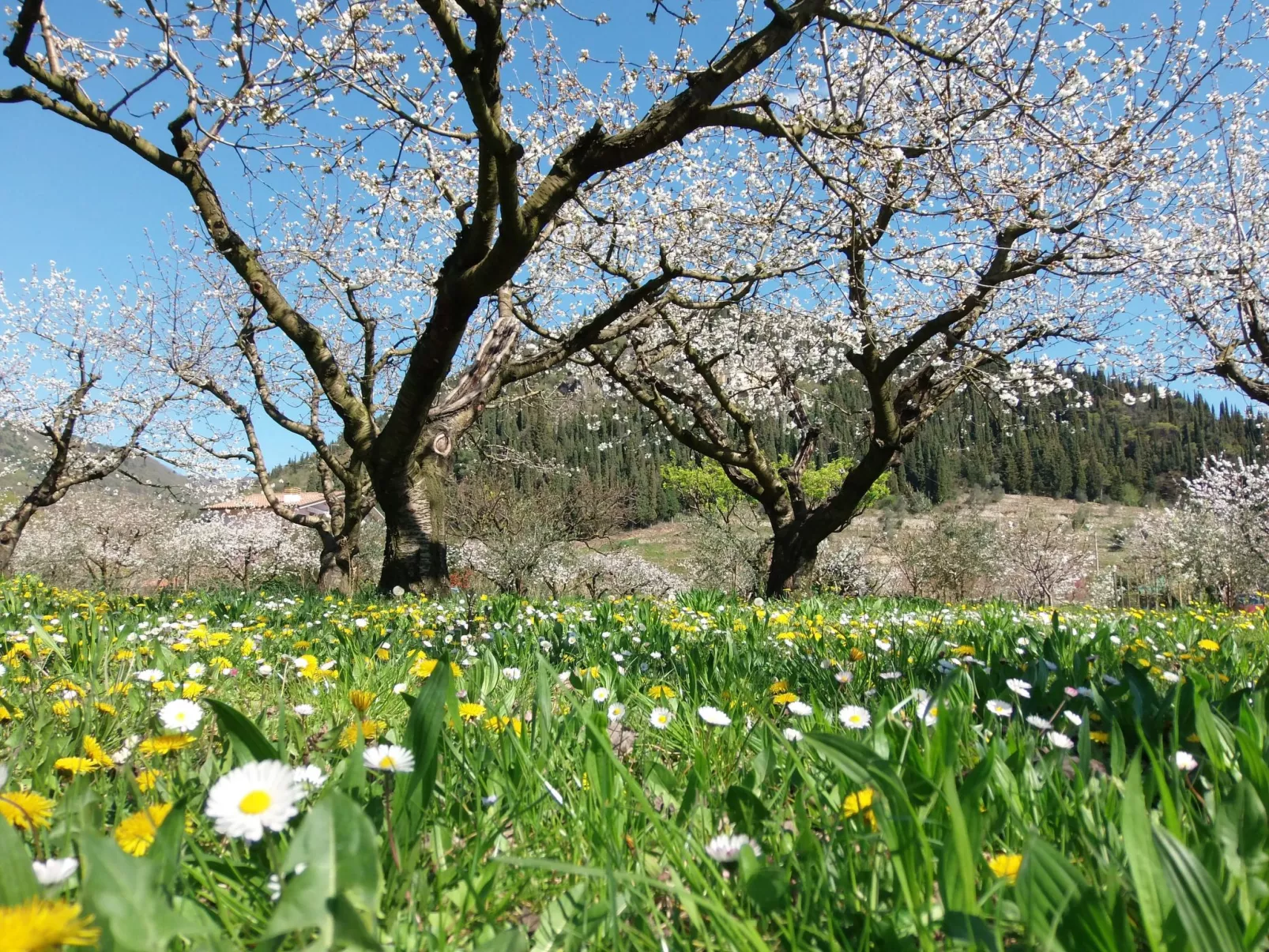 Anwesen mit Garten, Grill und Terrasse-Buiten