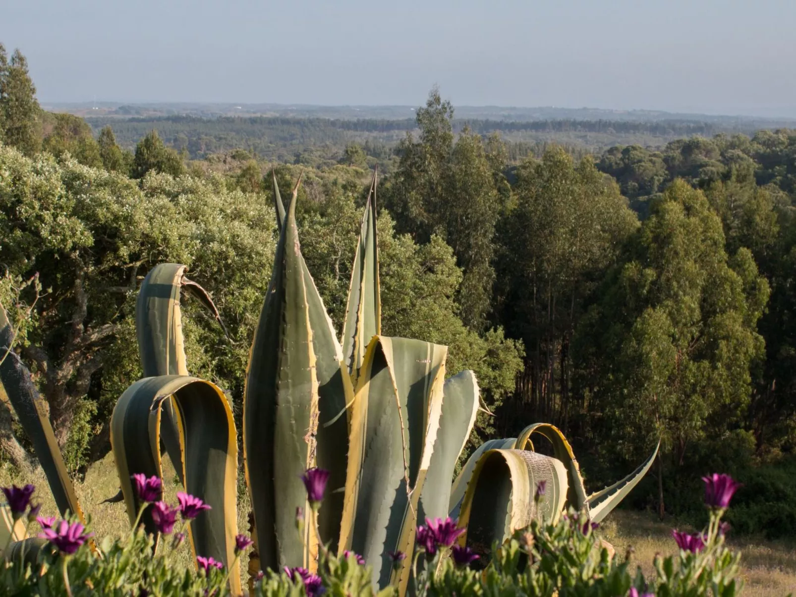 Monte Horizonte Casa Sobreiro Eco und Na-Buiten